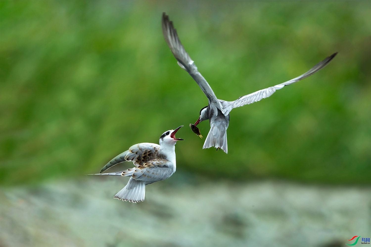 ����  ���� ����.jpg