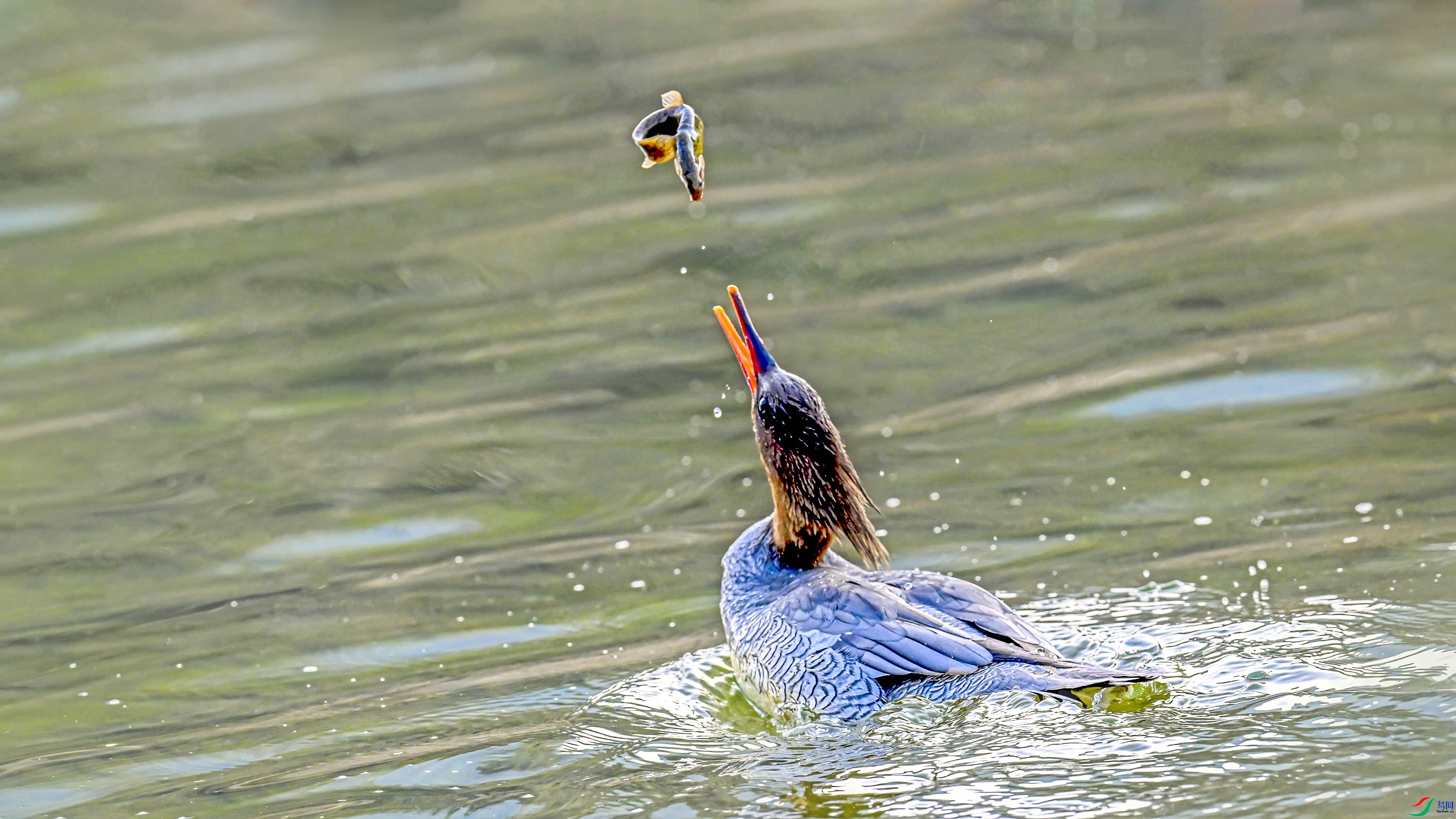 ���� ���� ����.jpg