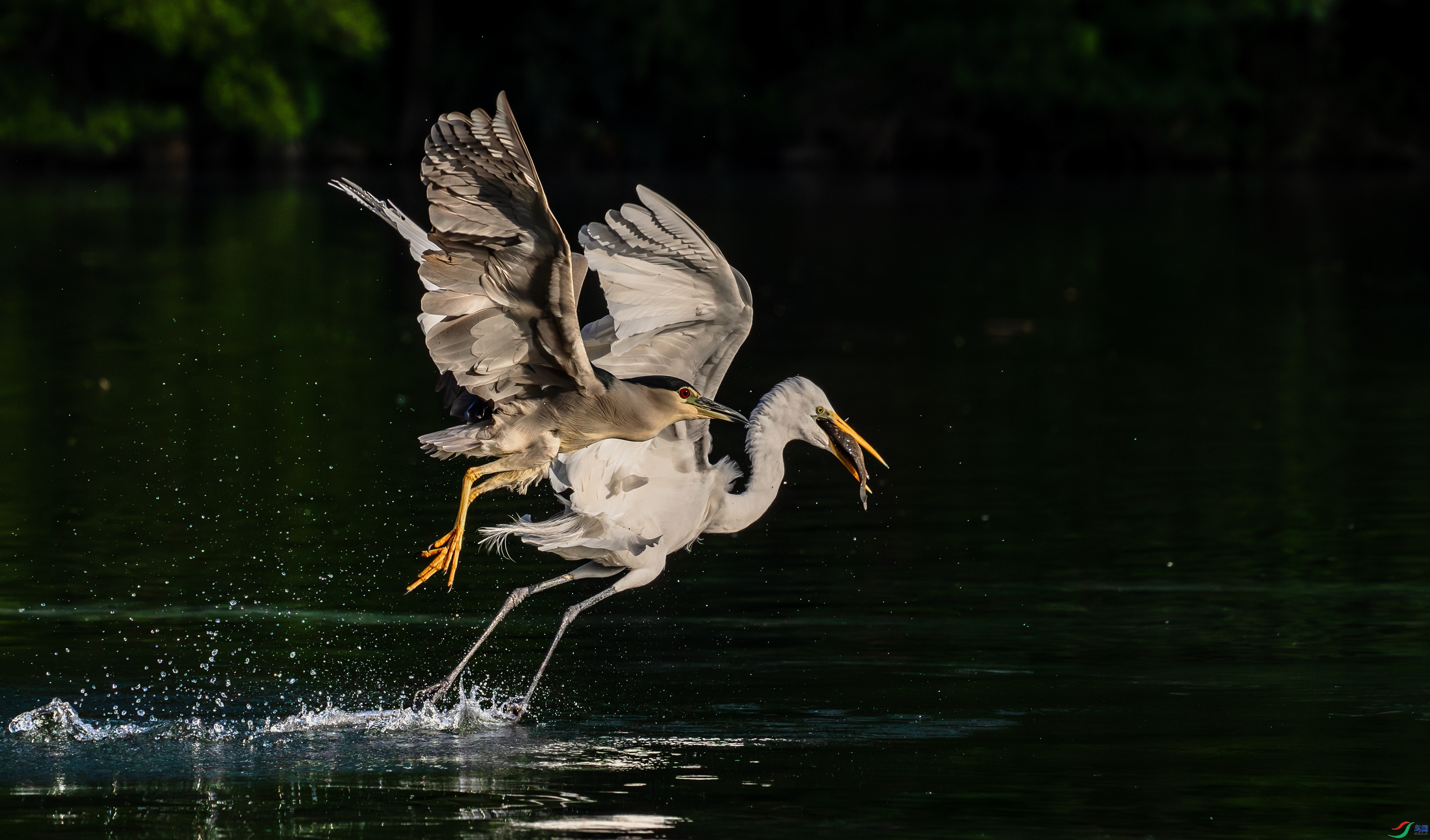 ������ʳ  ���� ����  ����.jpg