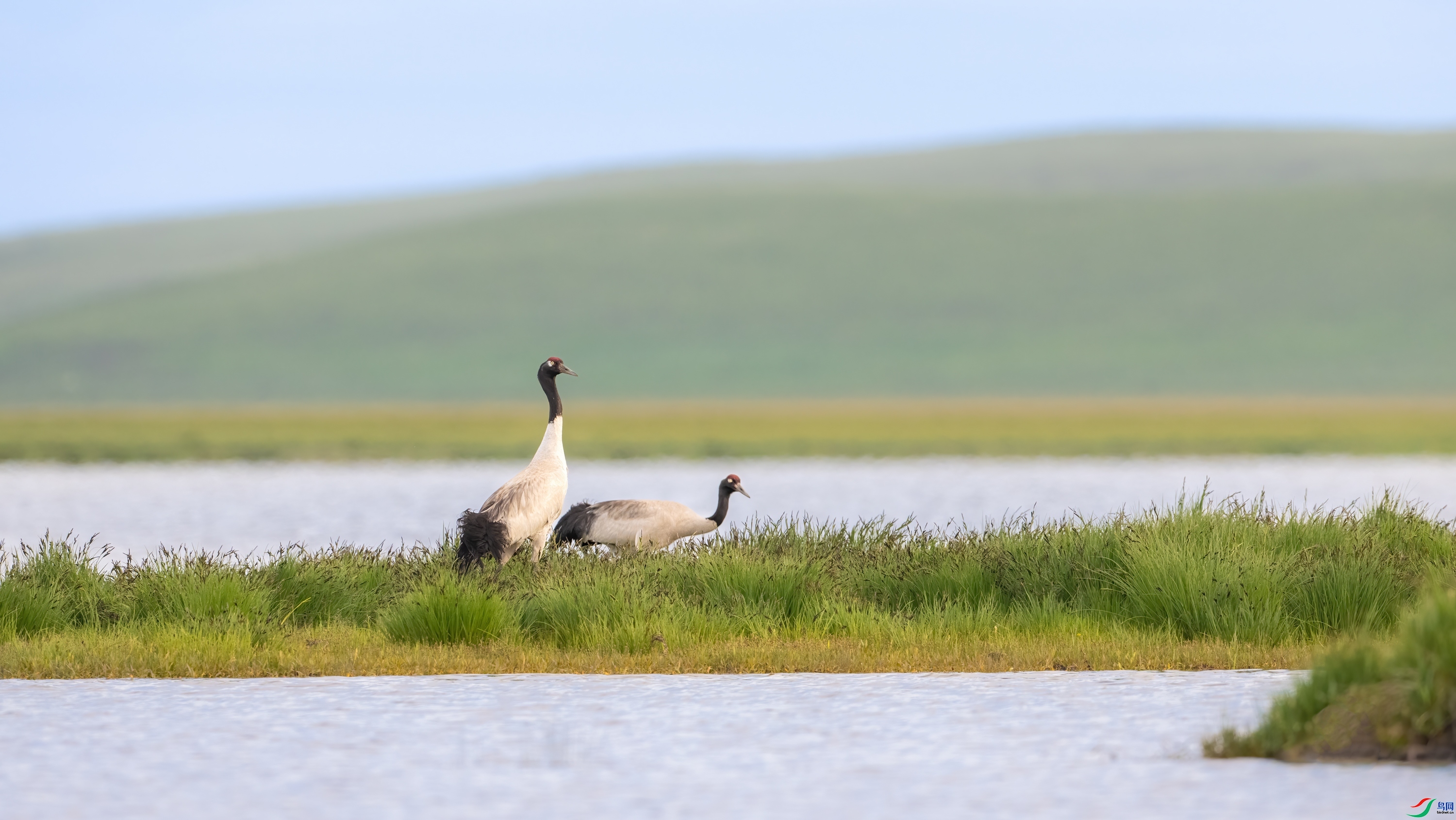 ��ٳ ���� ��Ͽ֮�� ����.jpg