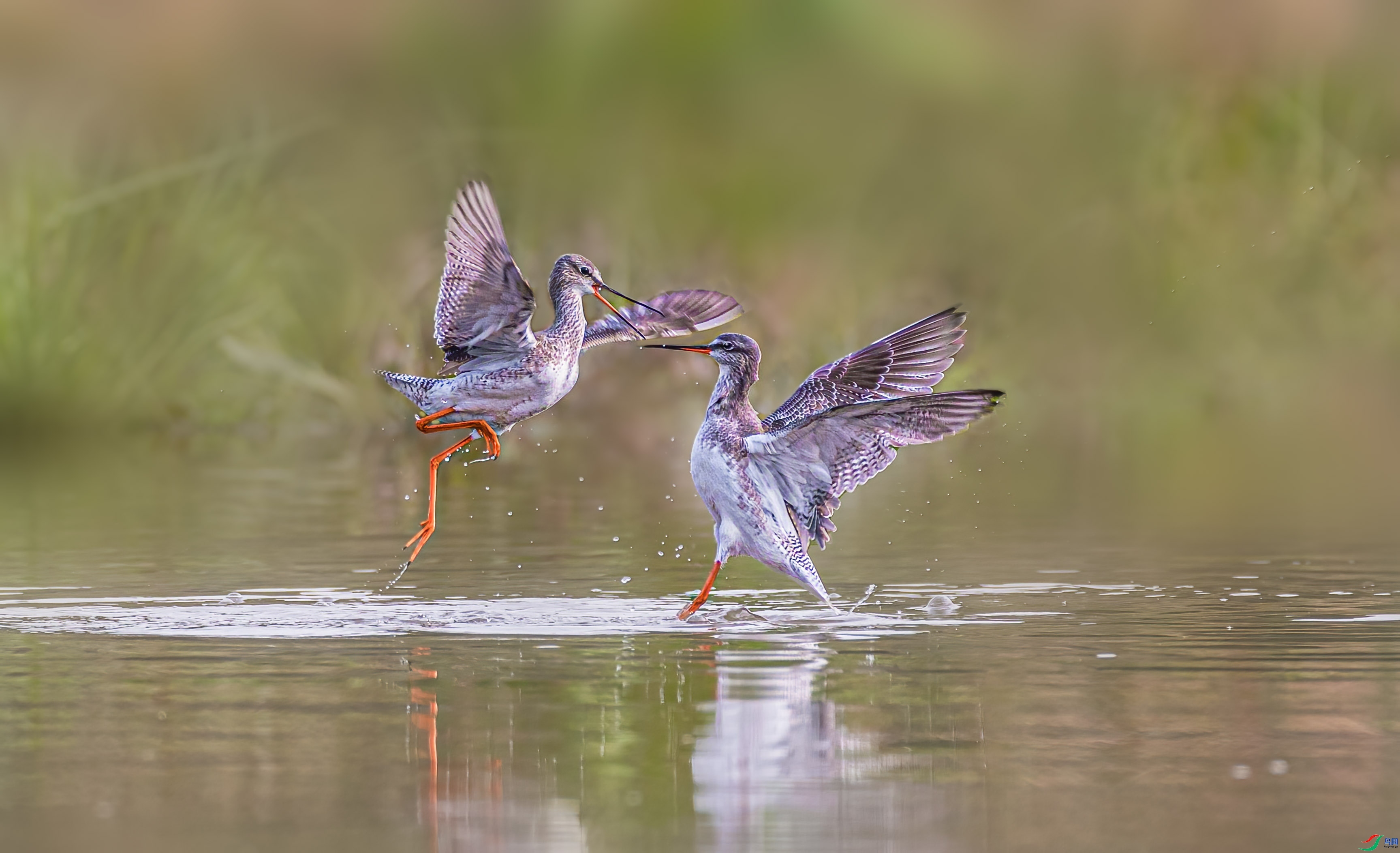 ���ִ� ���� �ܸ� ����.jpg