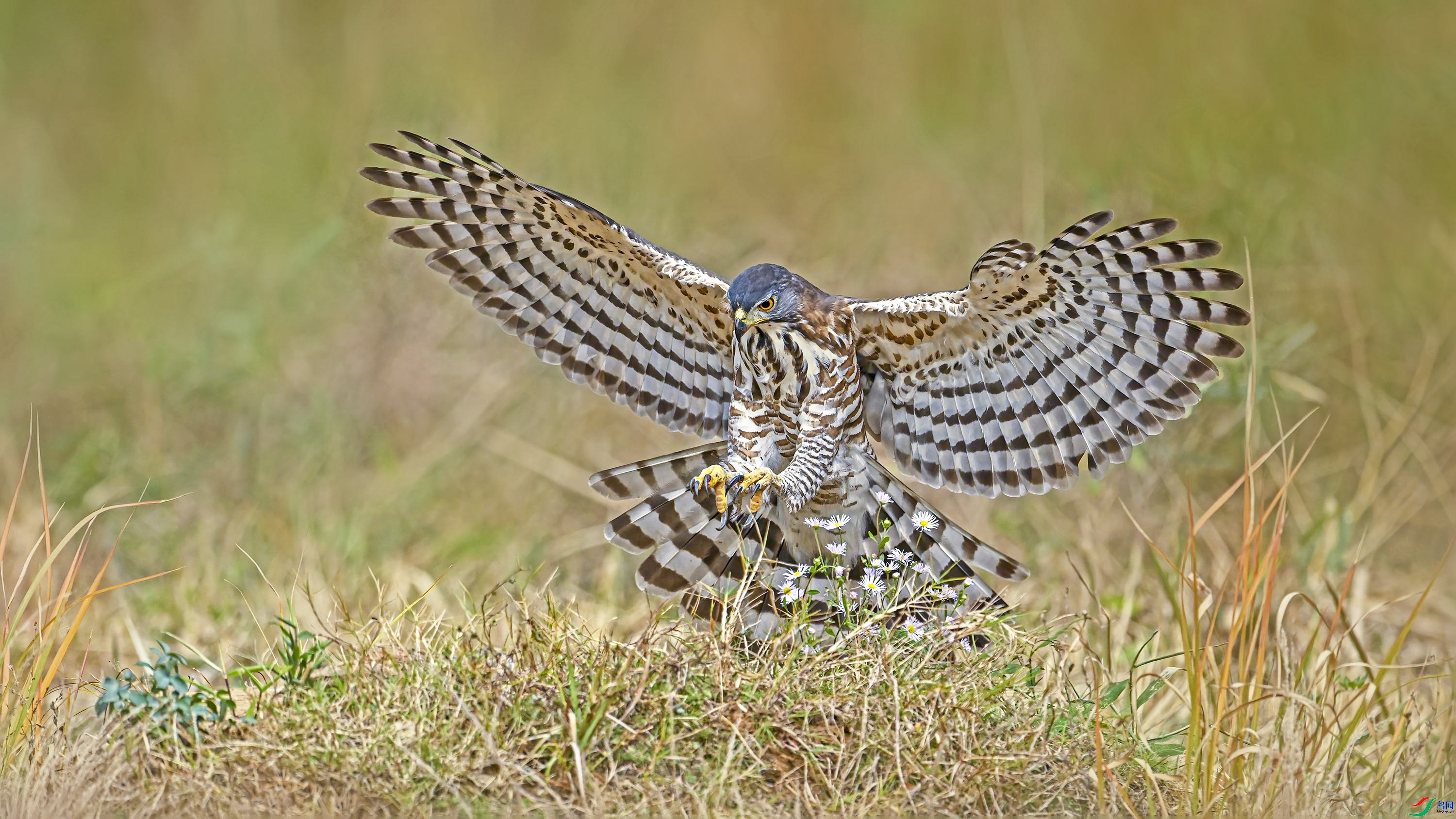 ��½ ���� wh�ϳ� ����.jpg