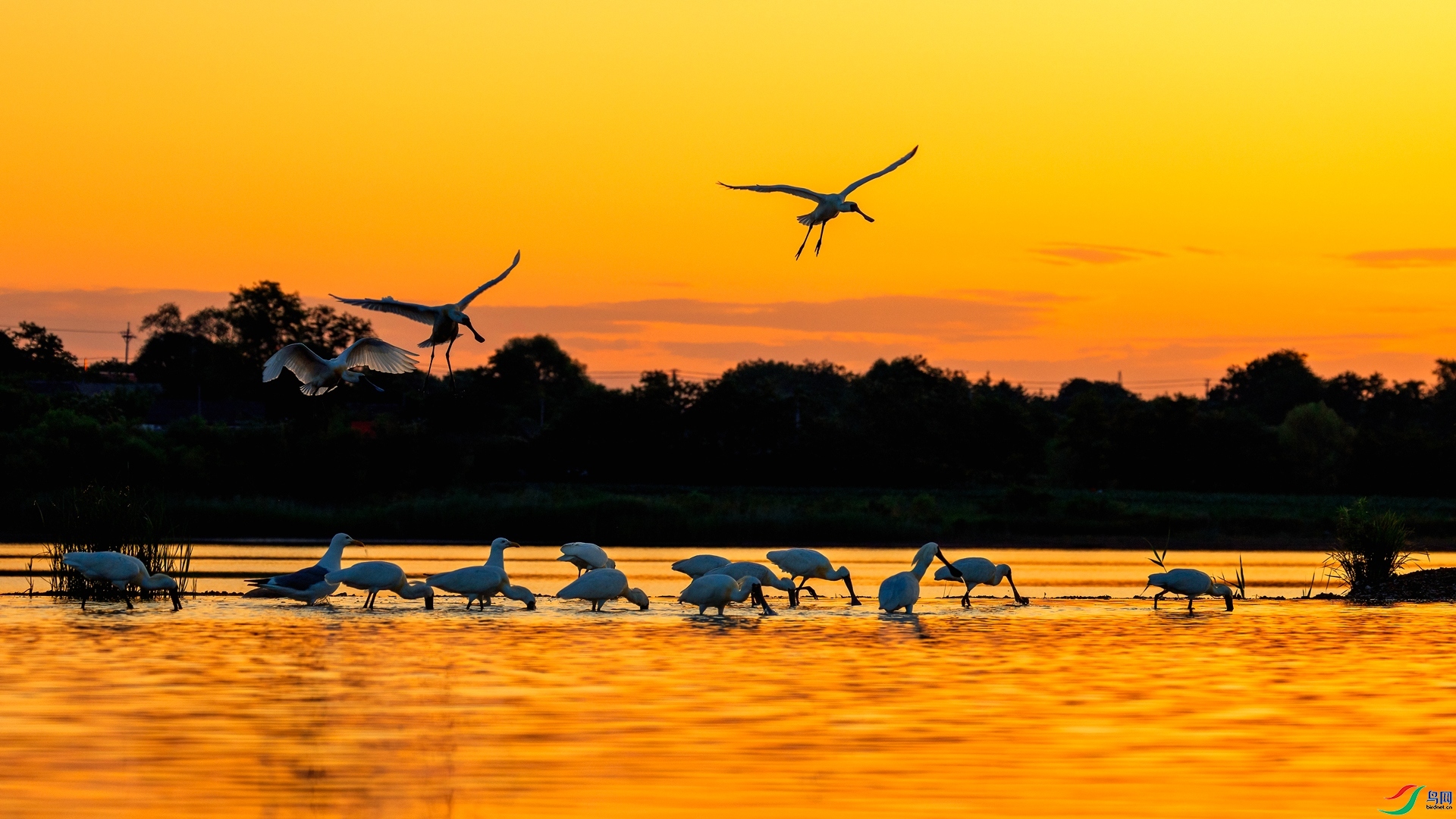 ���ʱ�� ���� ��־���� ����.jpg