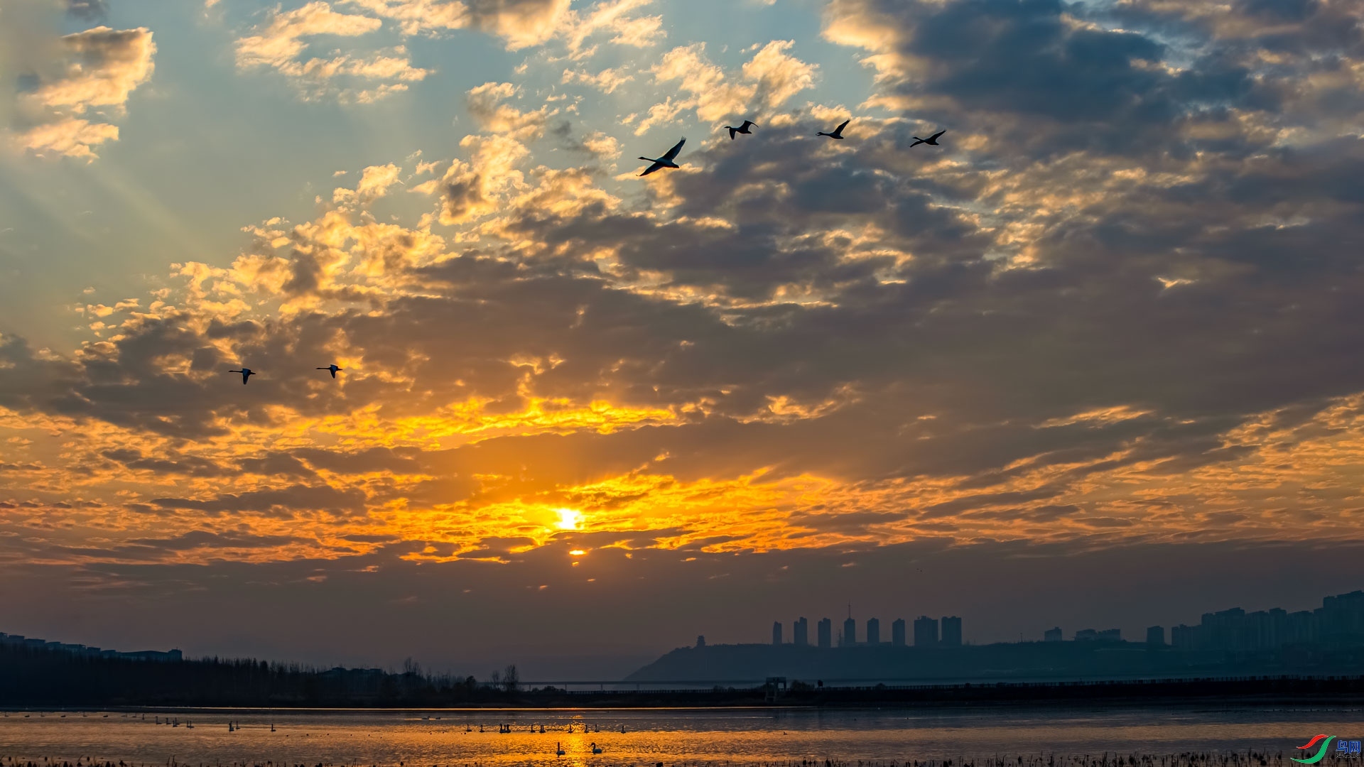 ��ϼ���� ���� ɳ���Խ� ����.jpg