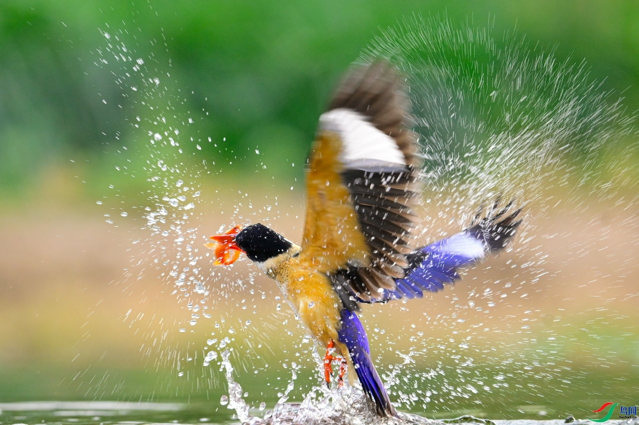 ��ˮ ���� ����.jpeg