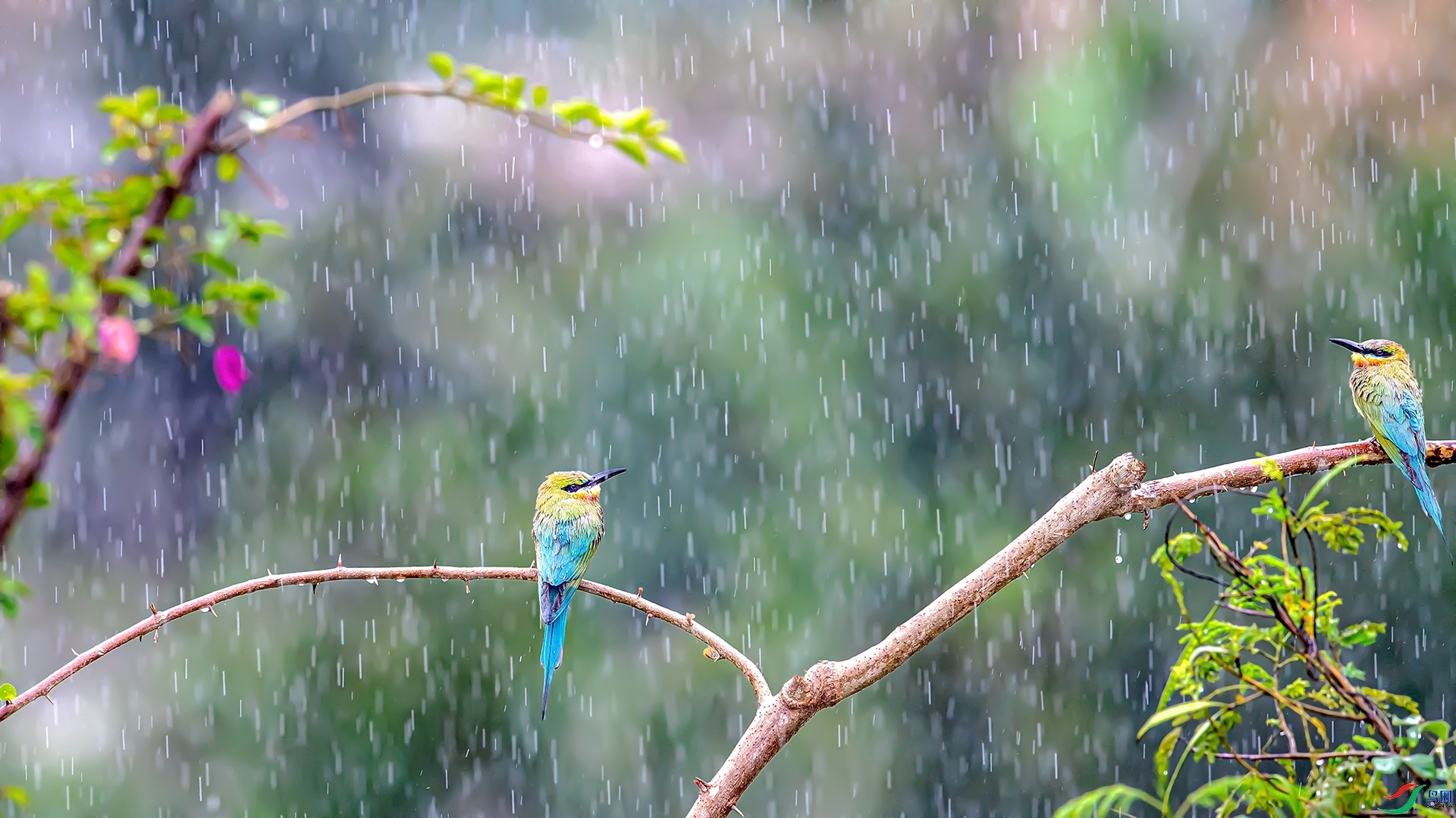 �������� ���� ����ǿ ����.jpg