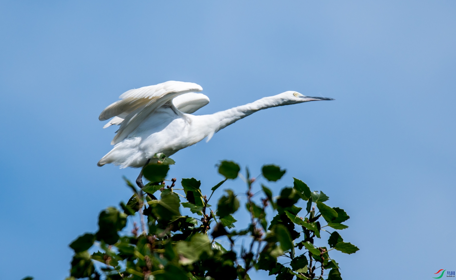 DSC_6855-2_����.jpg