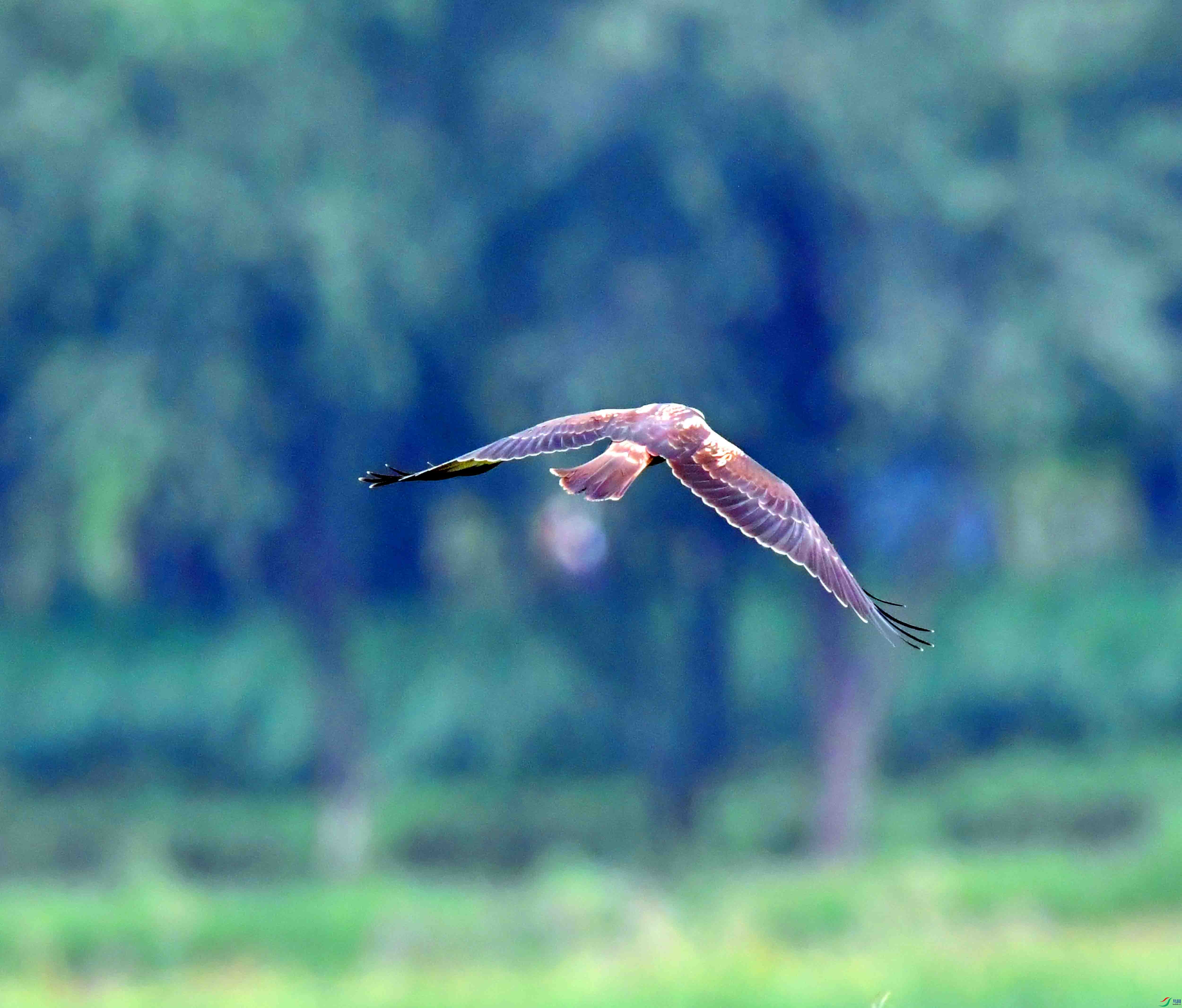 DSC_7683.JPG