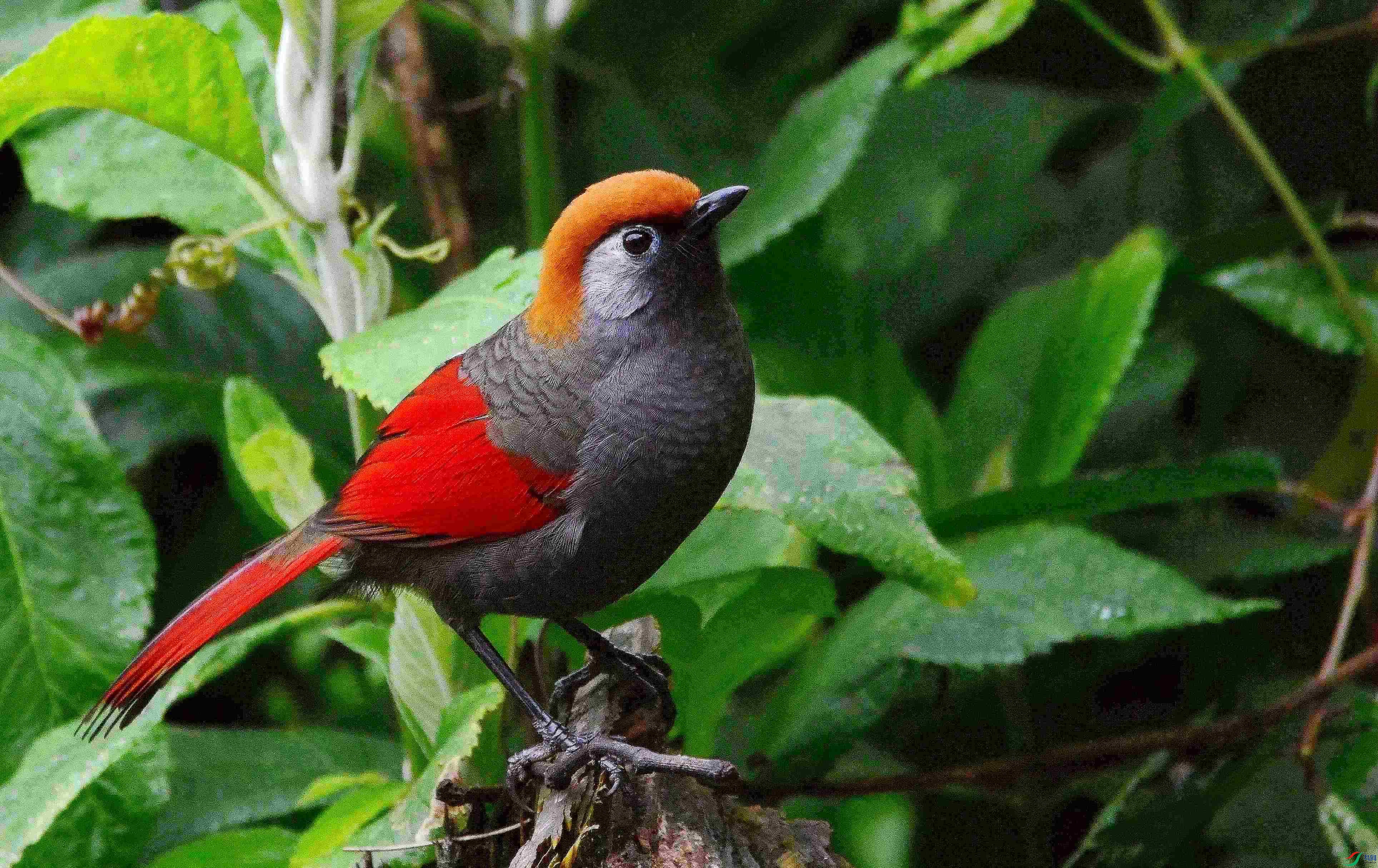 DSC_7822.JPG