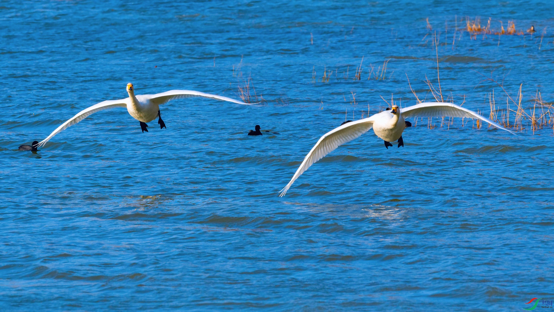 1DSC_3389_DxOa.jpg