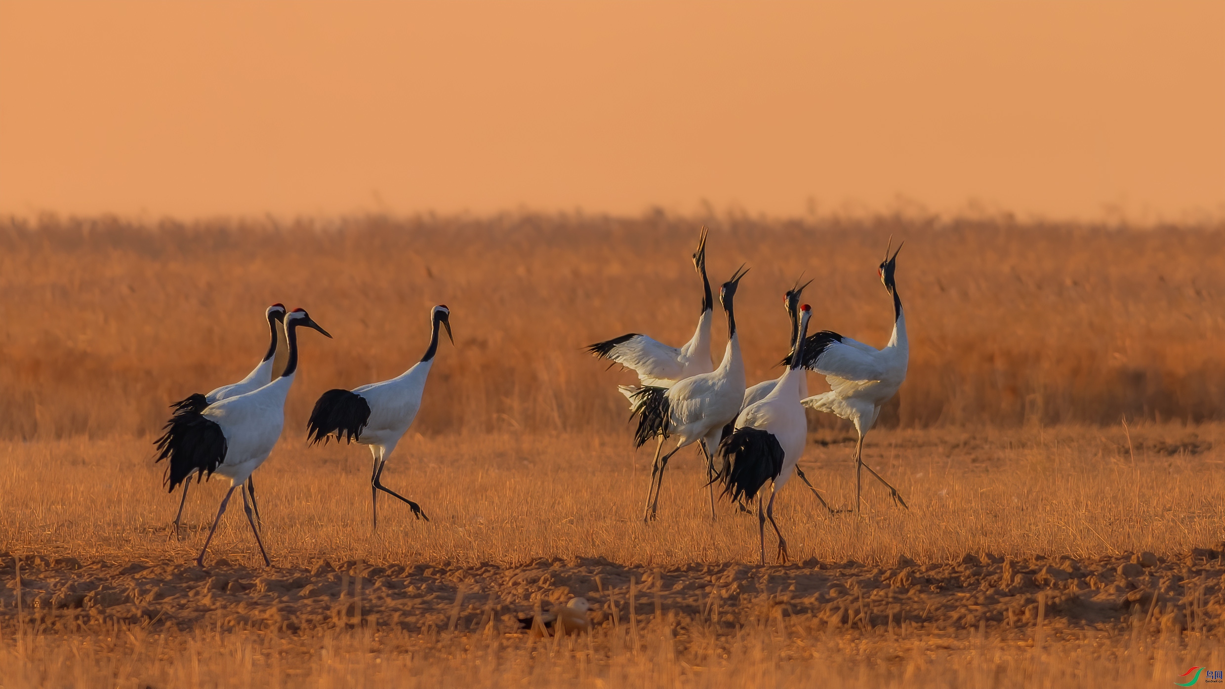 C09R6802 ����.jpg