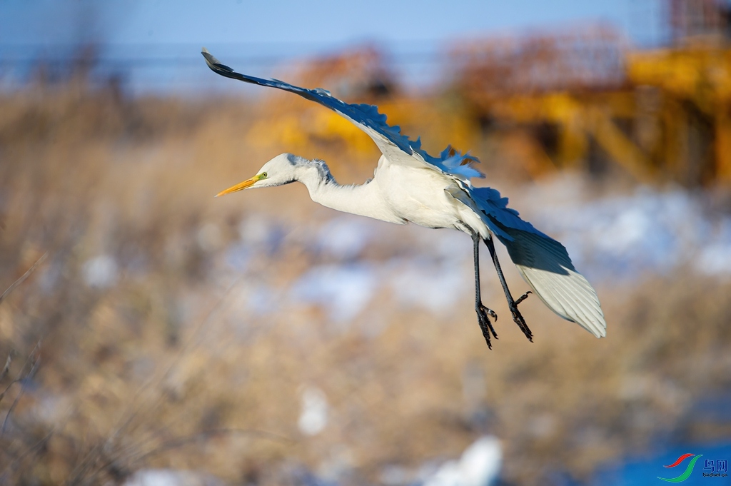 DSC_9960 ���� 2_����.jpg