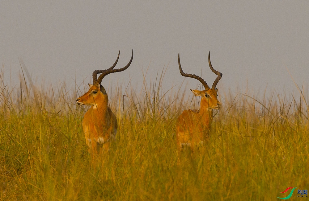 �ڰ��� (2).jpg