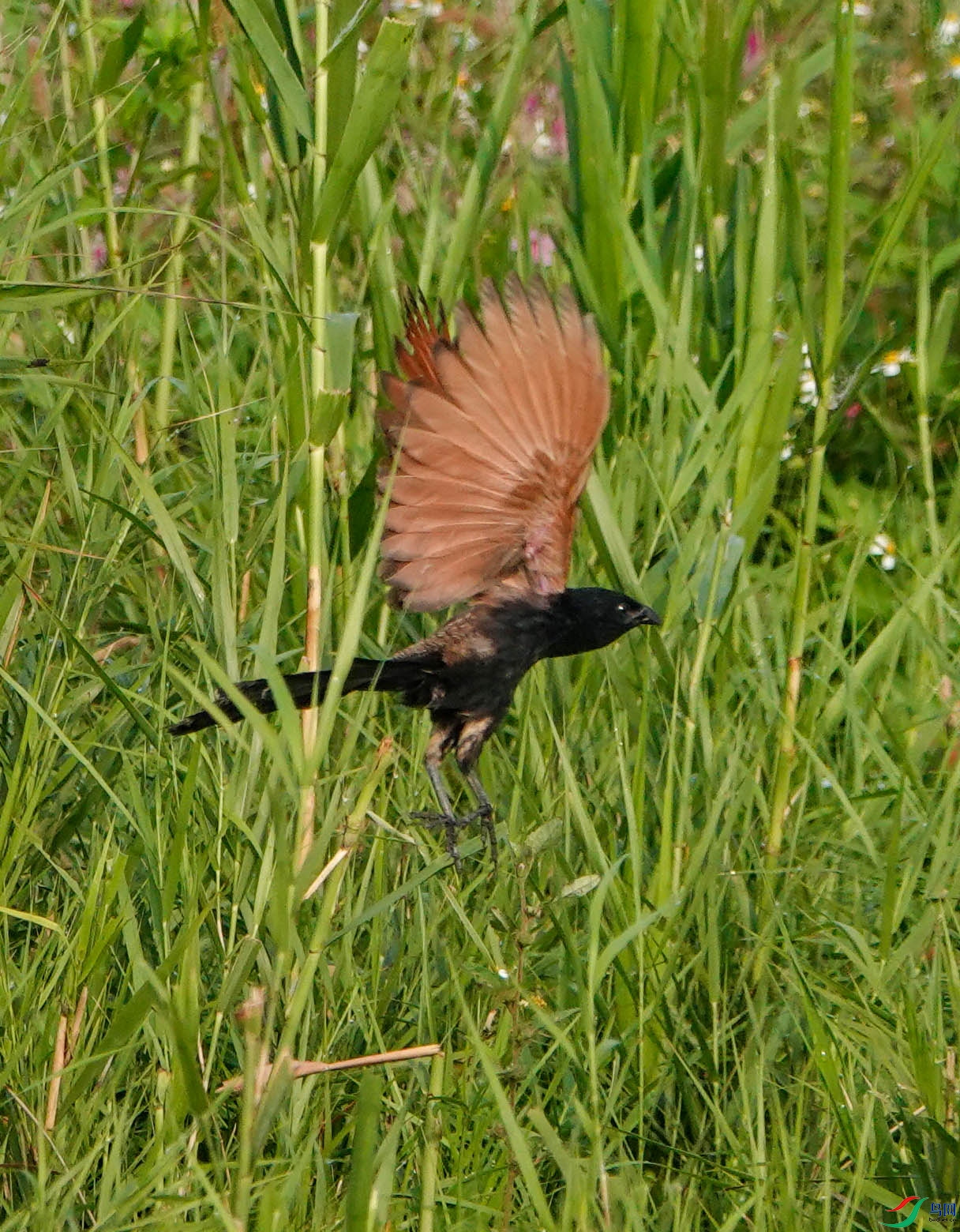 DSC03186.JPG