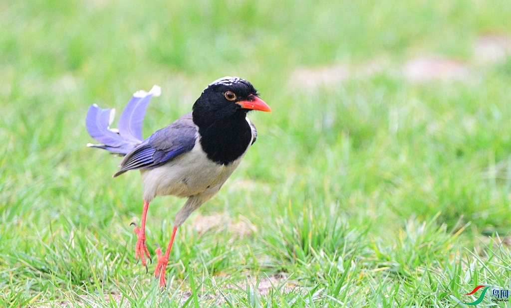 DSC_0138.JPG