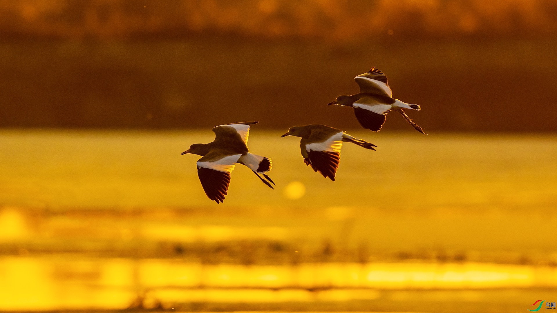 1DSC_0719 ���� 2.jpeg