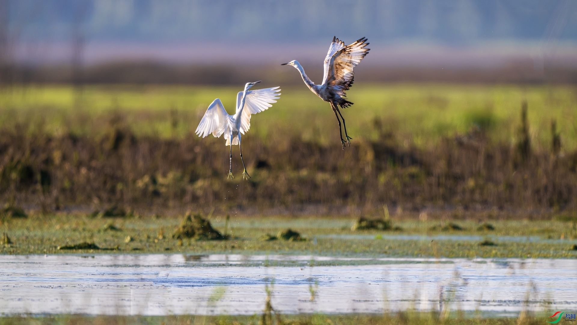 1DSC_1221 ����.jpeg