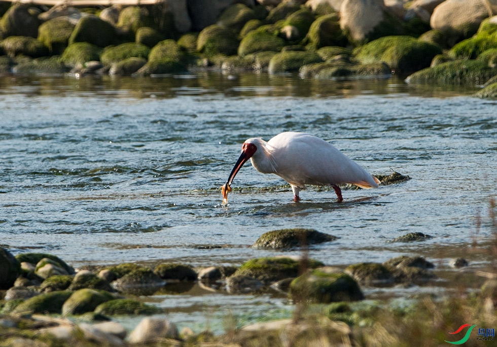 DSC_0555.jpg