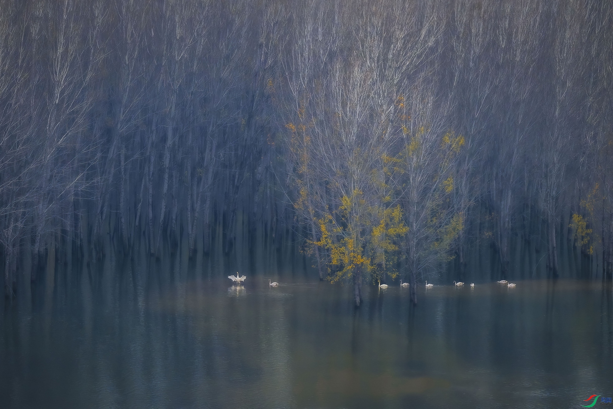 _DSC4618 ����F001.jpg