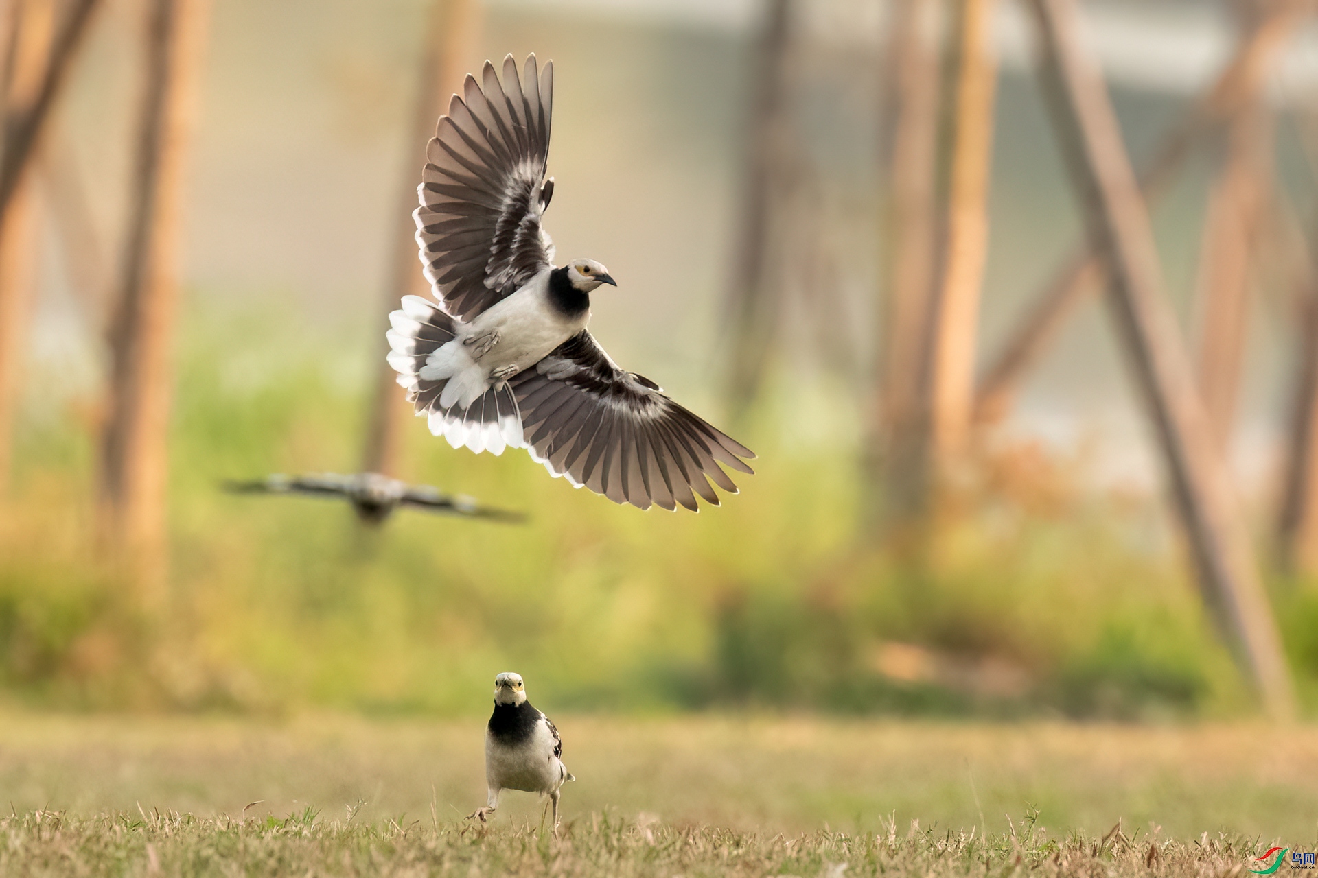 B86I3581 _����.jpg