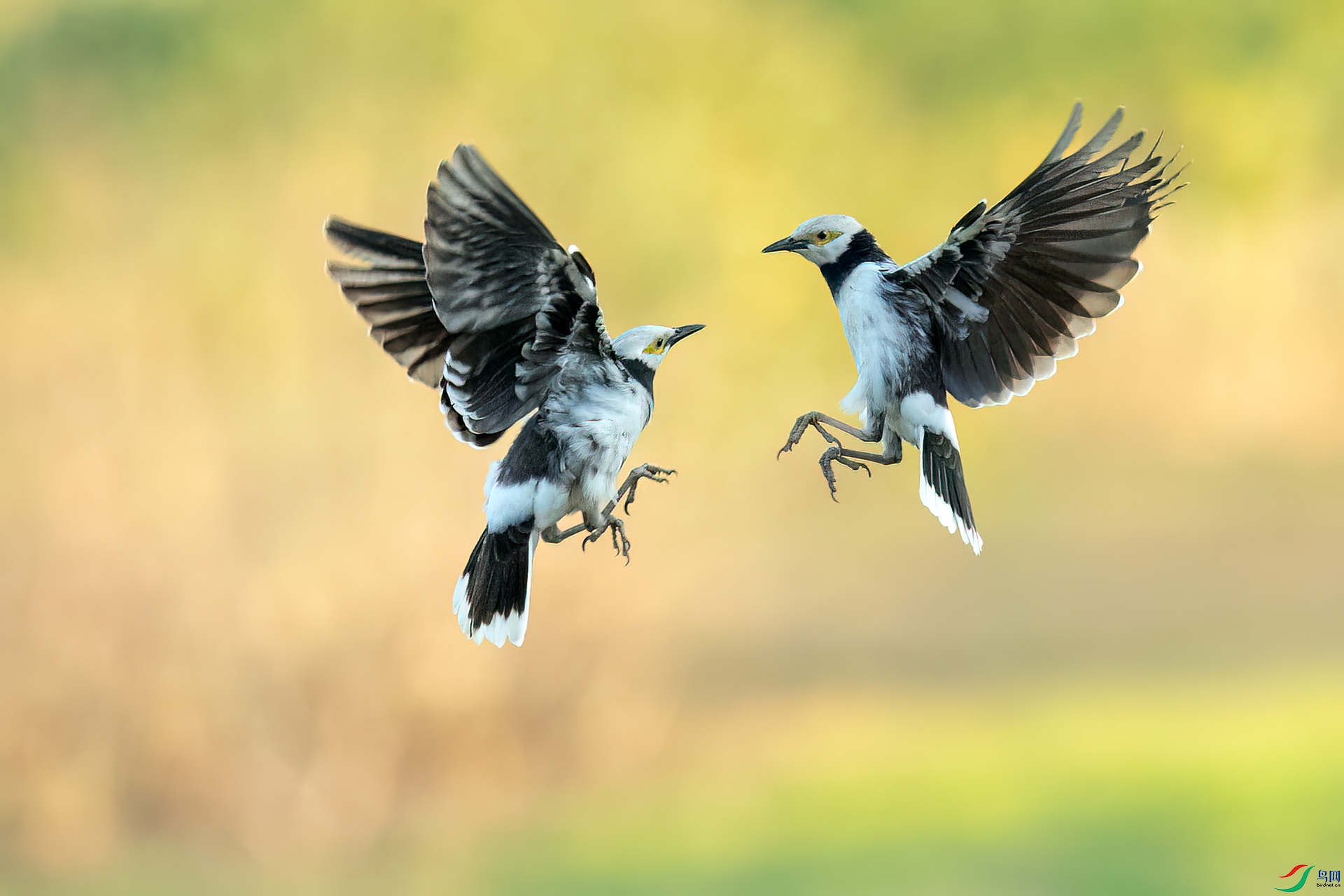 B86I5813 _����.jpg