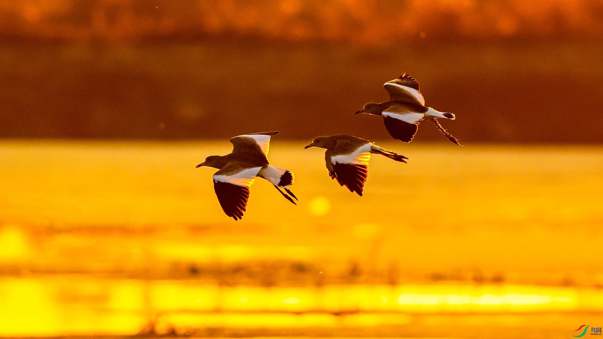 1DSC_0719 ���� 2-1.jpeg