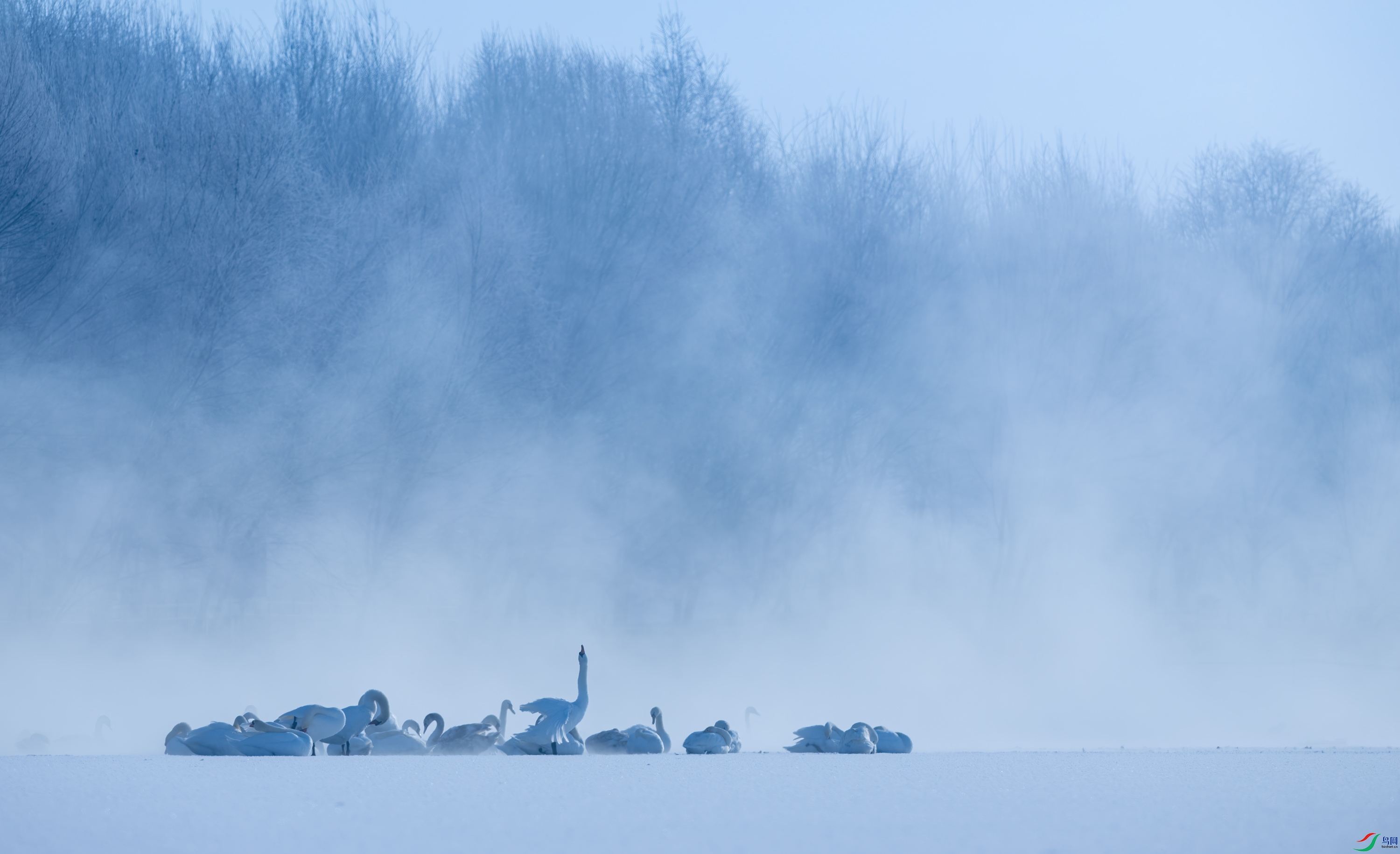 DSC_5785-11.jpg
