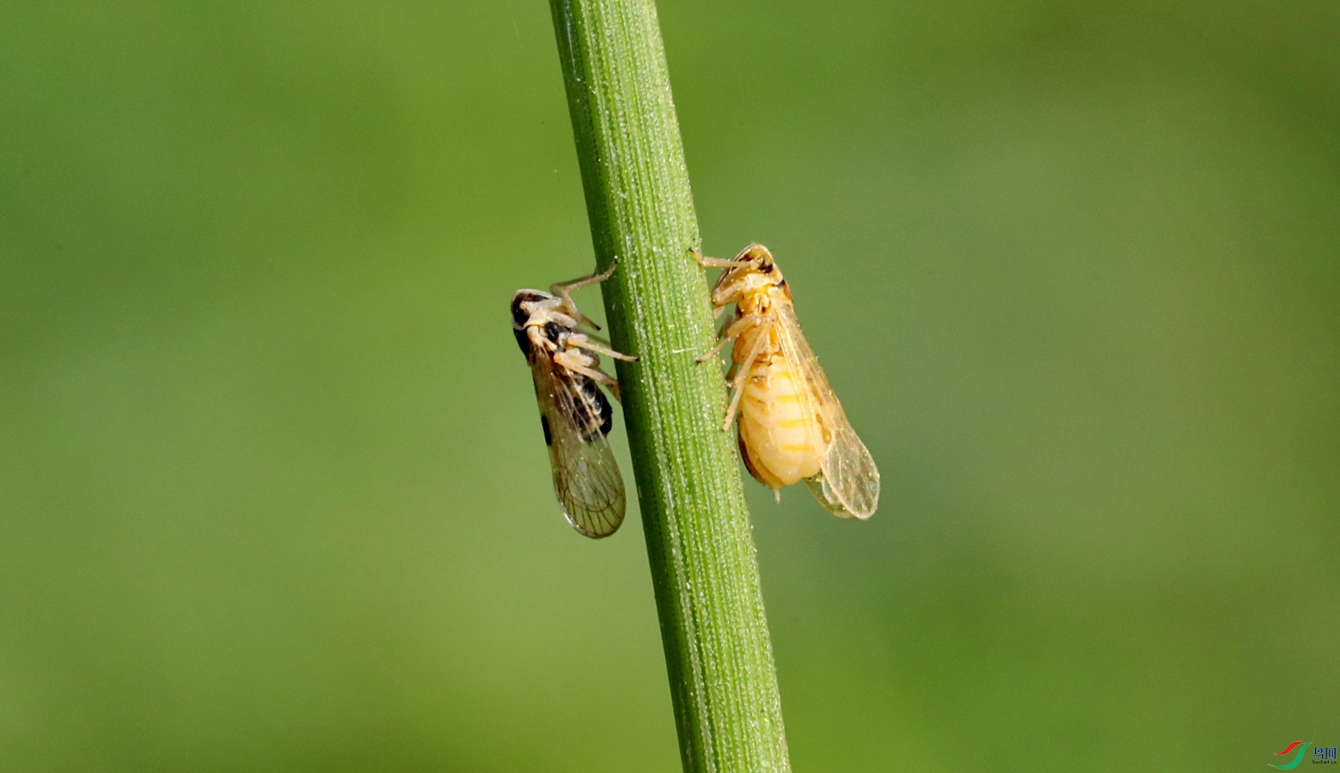 490A7184����.JPG