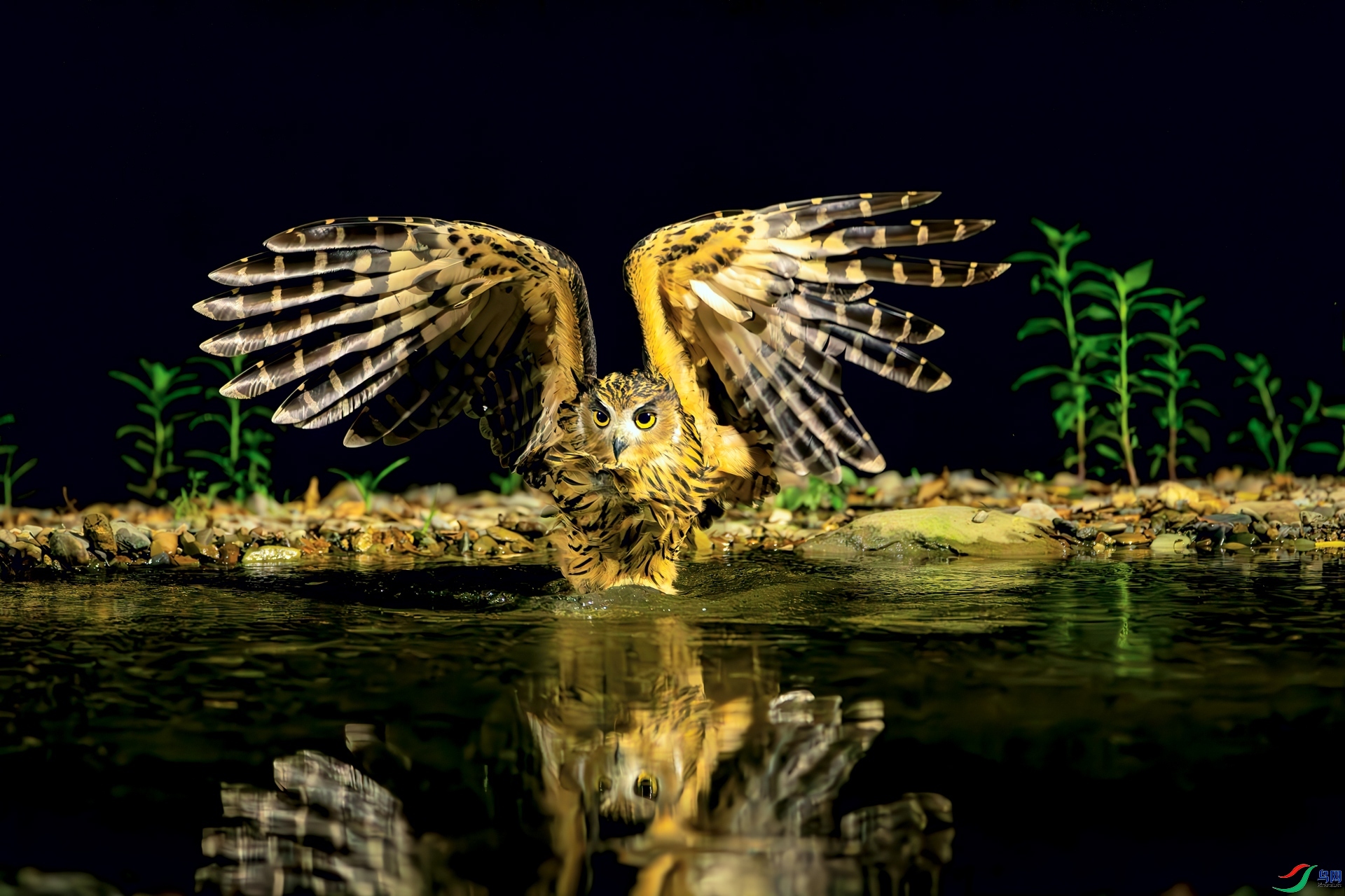 12.6 л������ʦ��Ʒ  �������^  �ٻ�2024��12��6�հ�����ҳ����.jpg