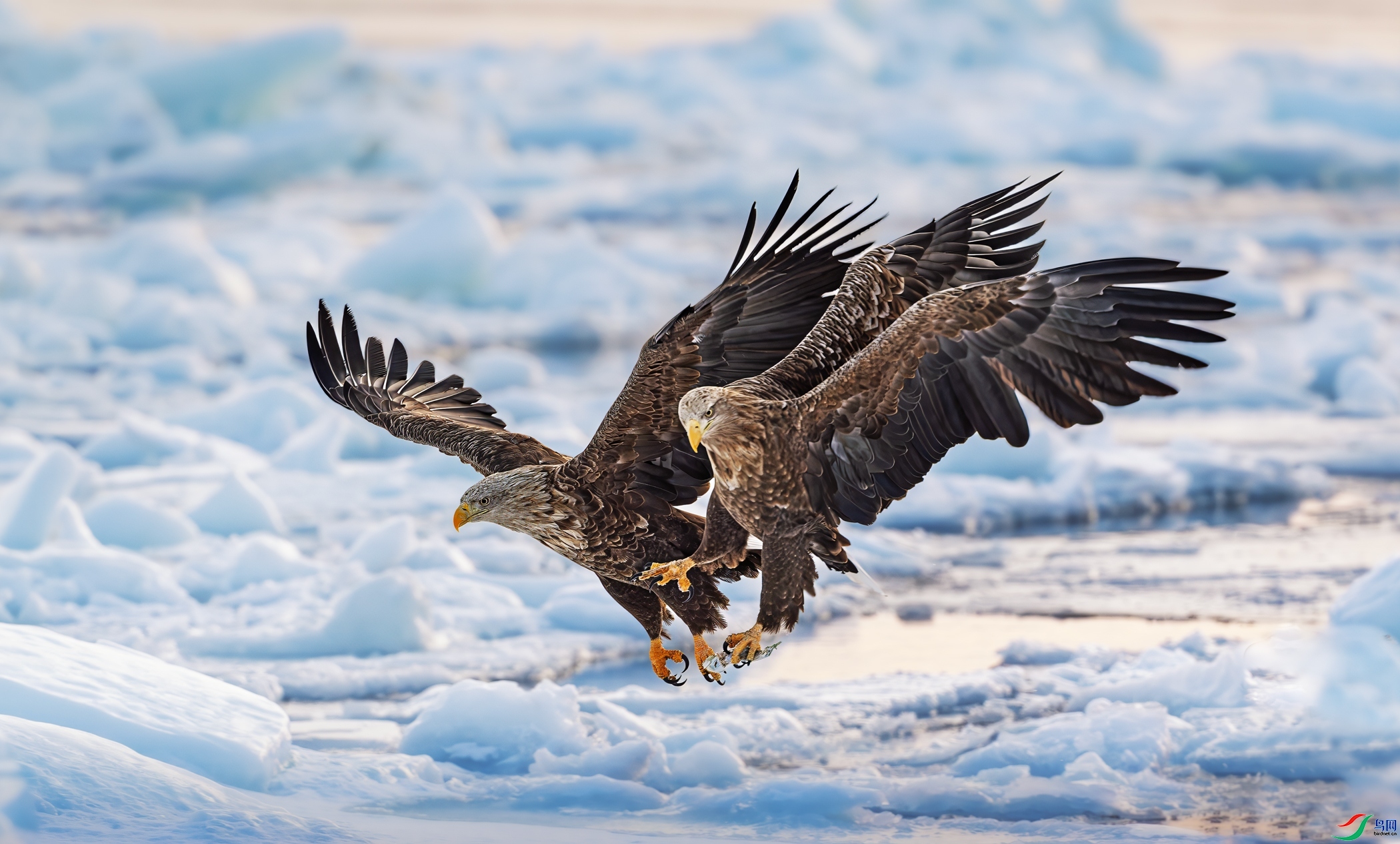 12.7 ����������ʦ��Ʒ  �����ϵ�����  �ٻ�2024��12��7�հ�����ҳ����.jpg