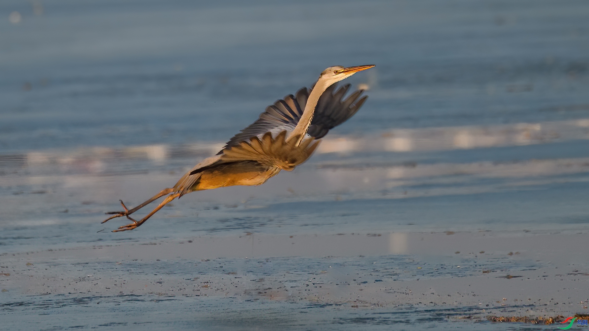 12.7  ����¥̨��ʦ��Ʒ  ����ɲ���  �ٻ�2024��12��7��������ҳ����.jpg