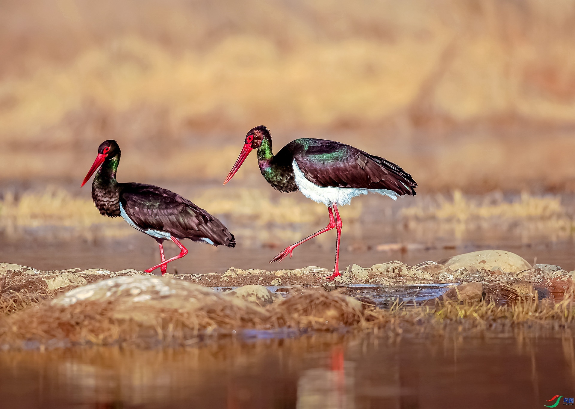 12.7 ����a��ʦ��Ʒ  �峿����  �ٻ�2024��12��7�ջ�Ա��ҳ����.jpg