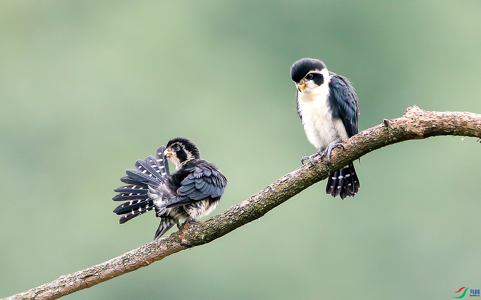 12.7 л������ʦ��Ʒ  ����С��  �ٻ�2024��12��7�հ�����ҳ����.jpg