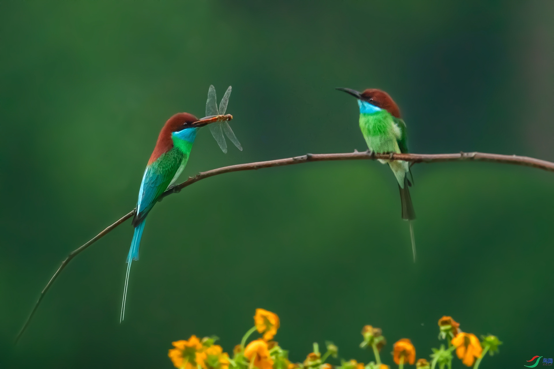 12.8 ��������ʦ��Ʒ  �����仢  �ٻ�2024��12��8�ջ�Ա��ҳ����.jpg