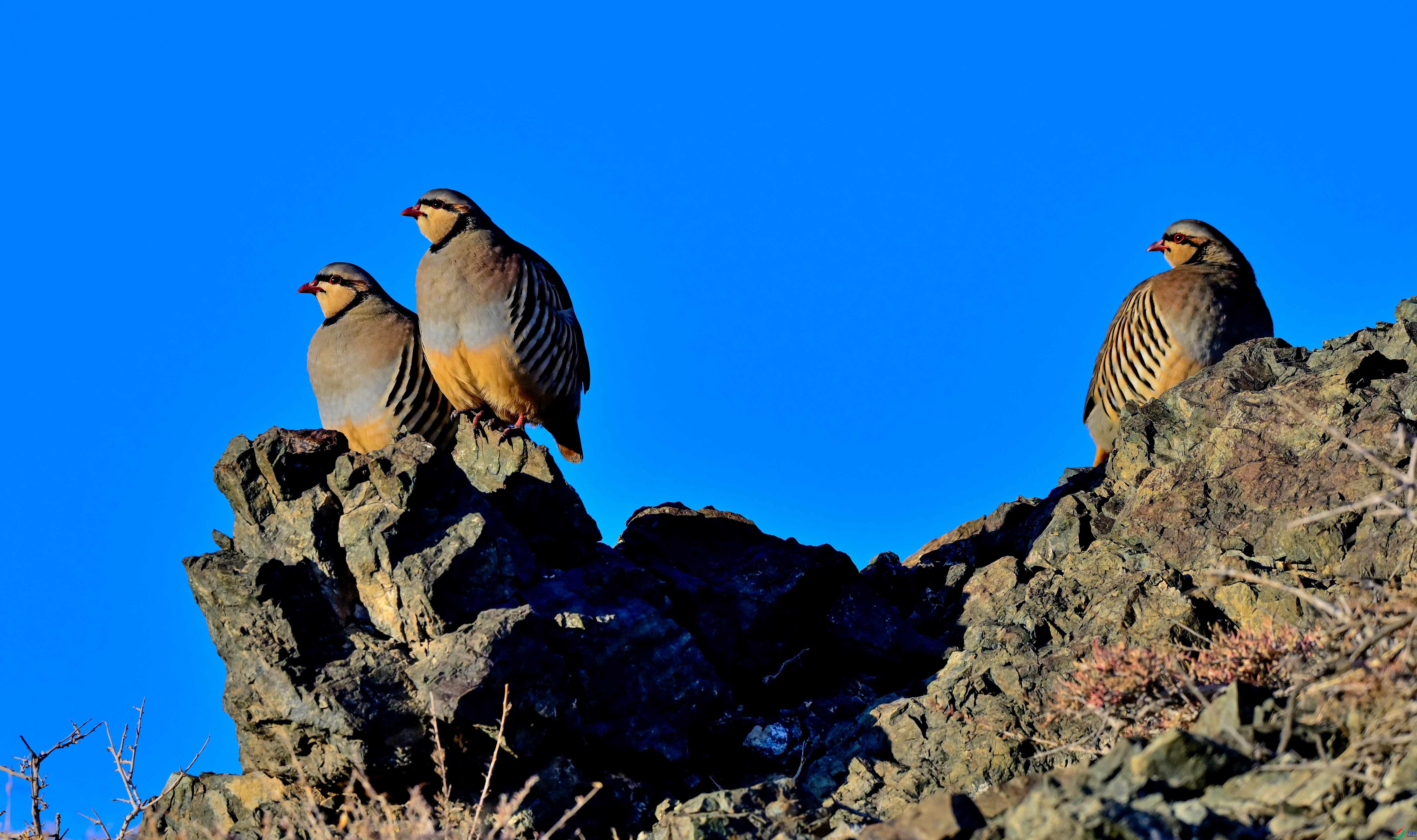 12.8  ���789��ʦ��Ʒ  ���ʵ�����  �ٻ�2024��12��8����Ӱʦ��ҳ����.jpg