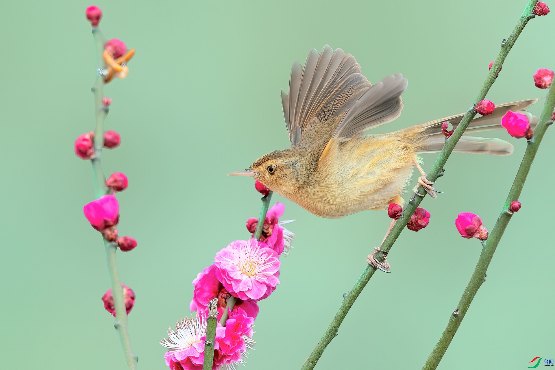 12.8 ����ī��ʦ��Ʒ  ��ݺ̽÷  �ٻ�2024��12��8��������ҳ����.jpg