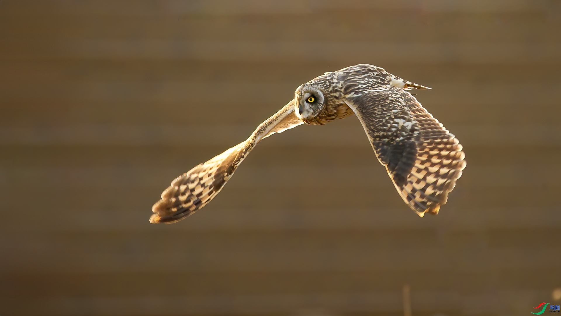 12.8 ɽ��ˮ����ʦ��Ʒ  ���  �ٻ�2024��12��8�հ�����ҳ����.jpg