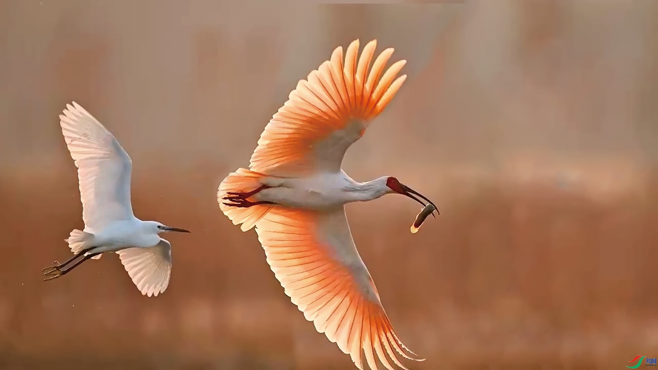 12.9 ����������ʦ��Ʒ  ���q  �ٻ�2024��12��9����Ӱʦ��ҳ����.jpg