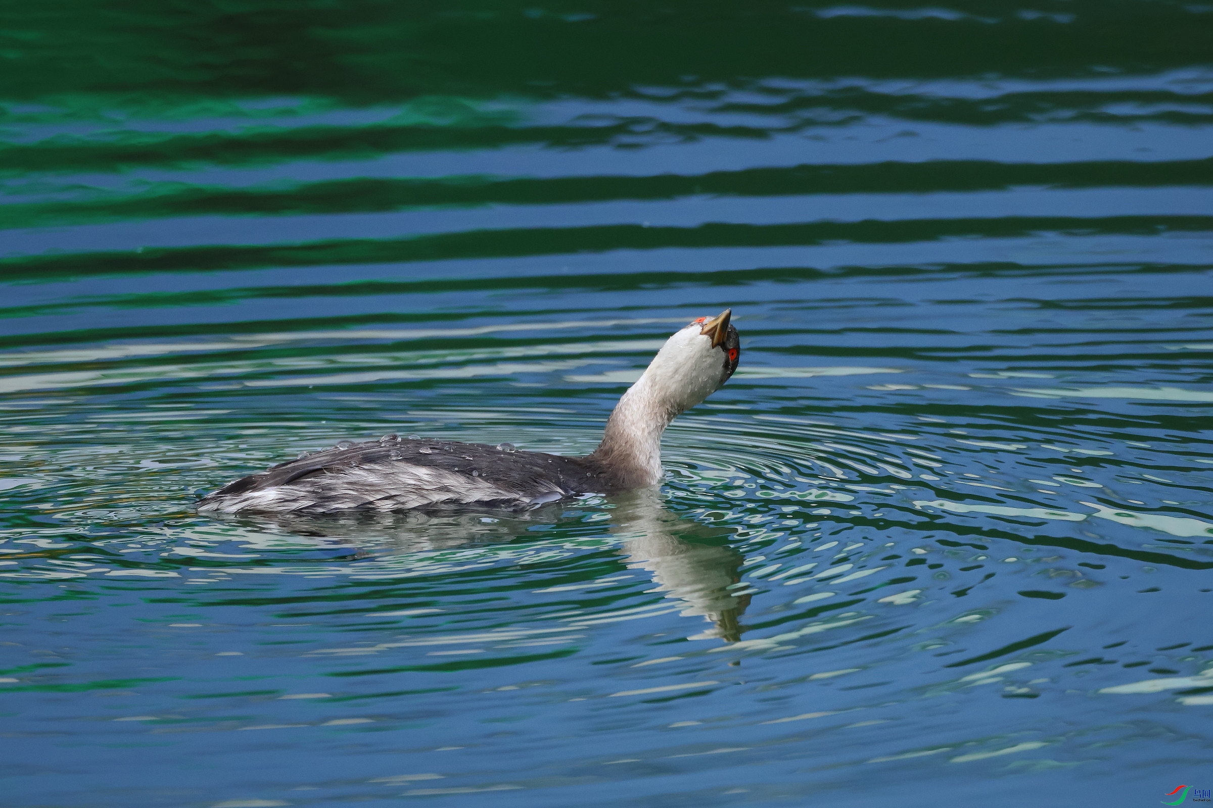 IMG_6875.JPG