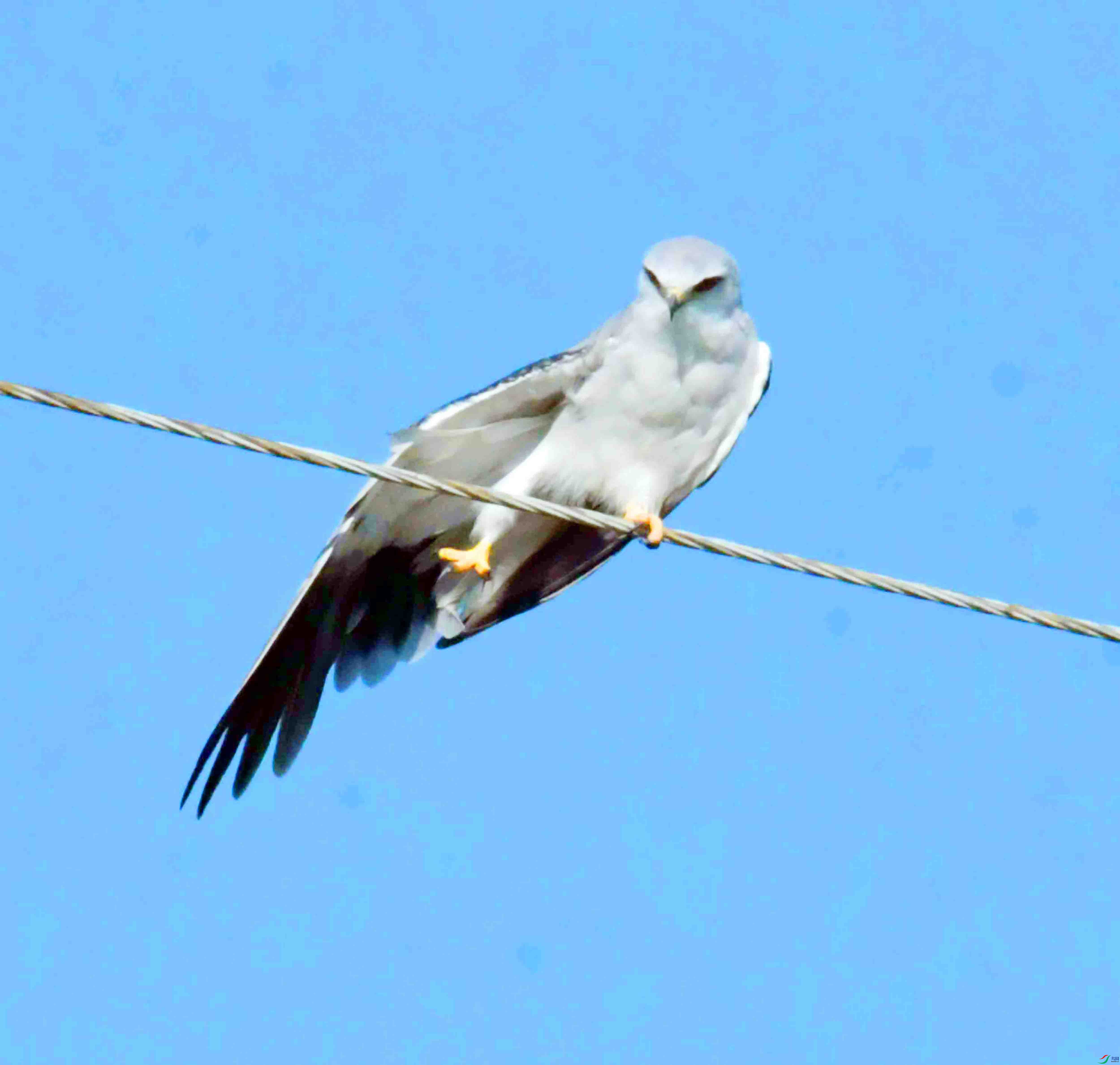 DSC_5825.JPG