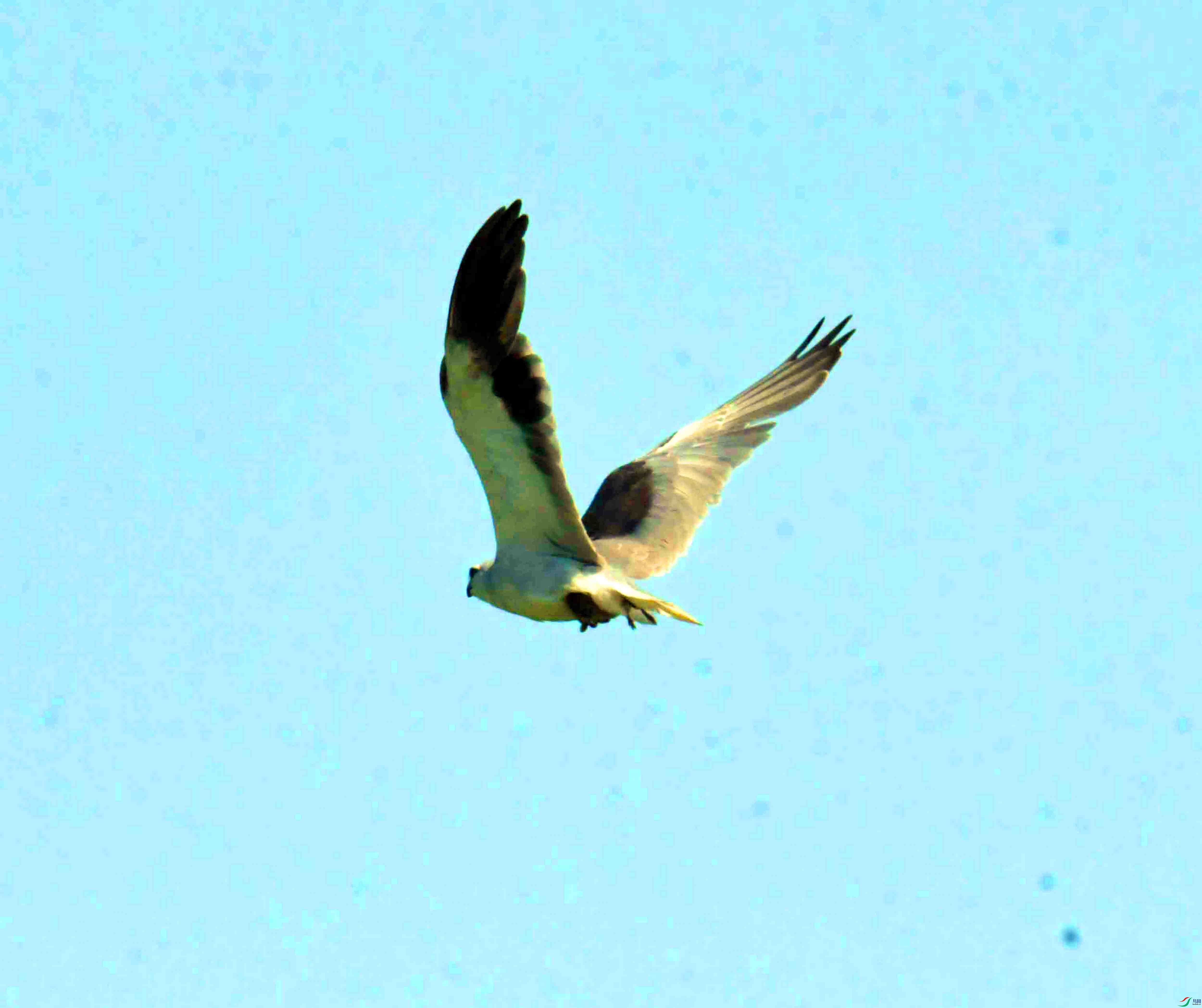 DSC_5916.JPG