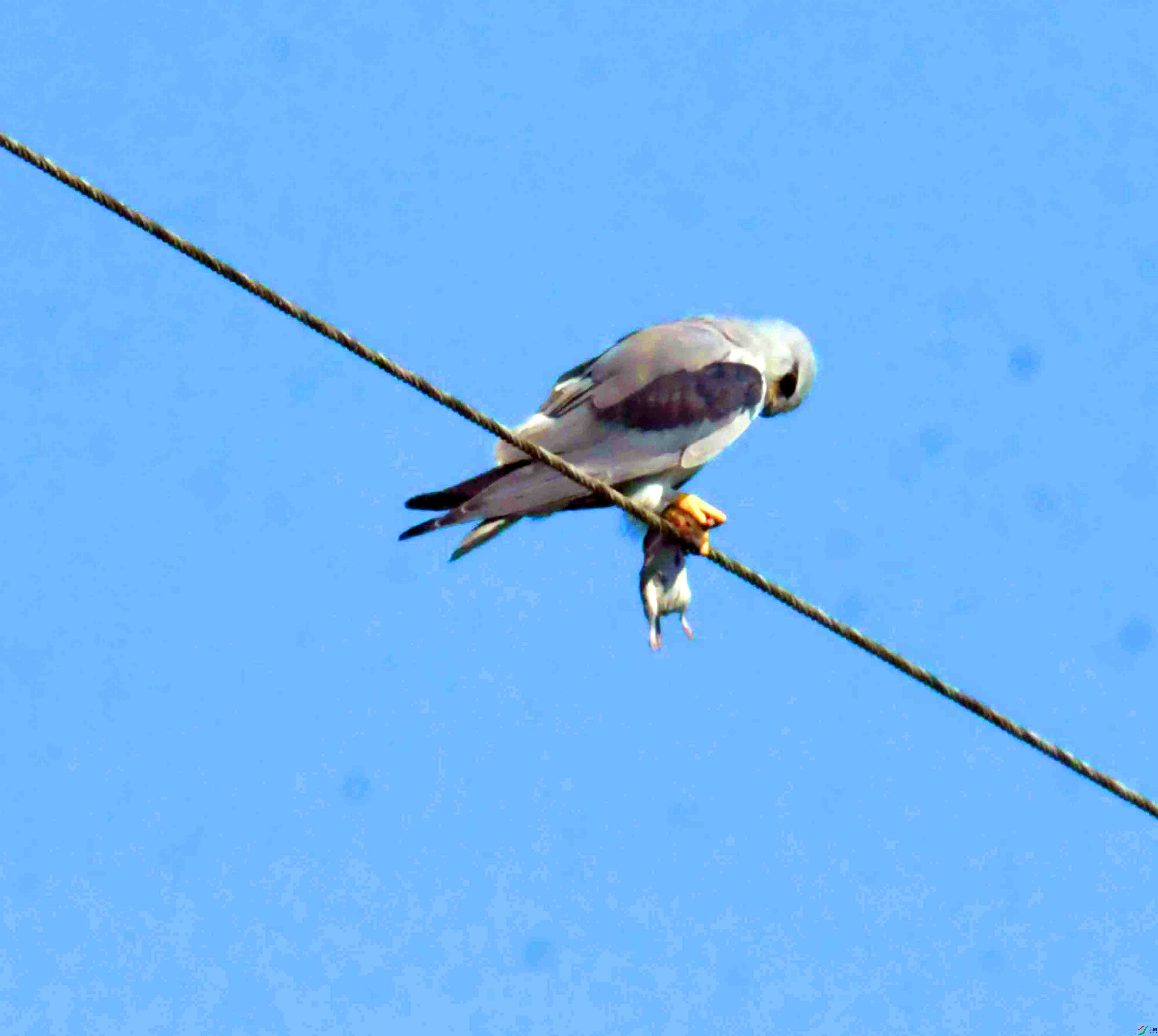 DSC_5934.JPG
