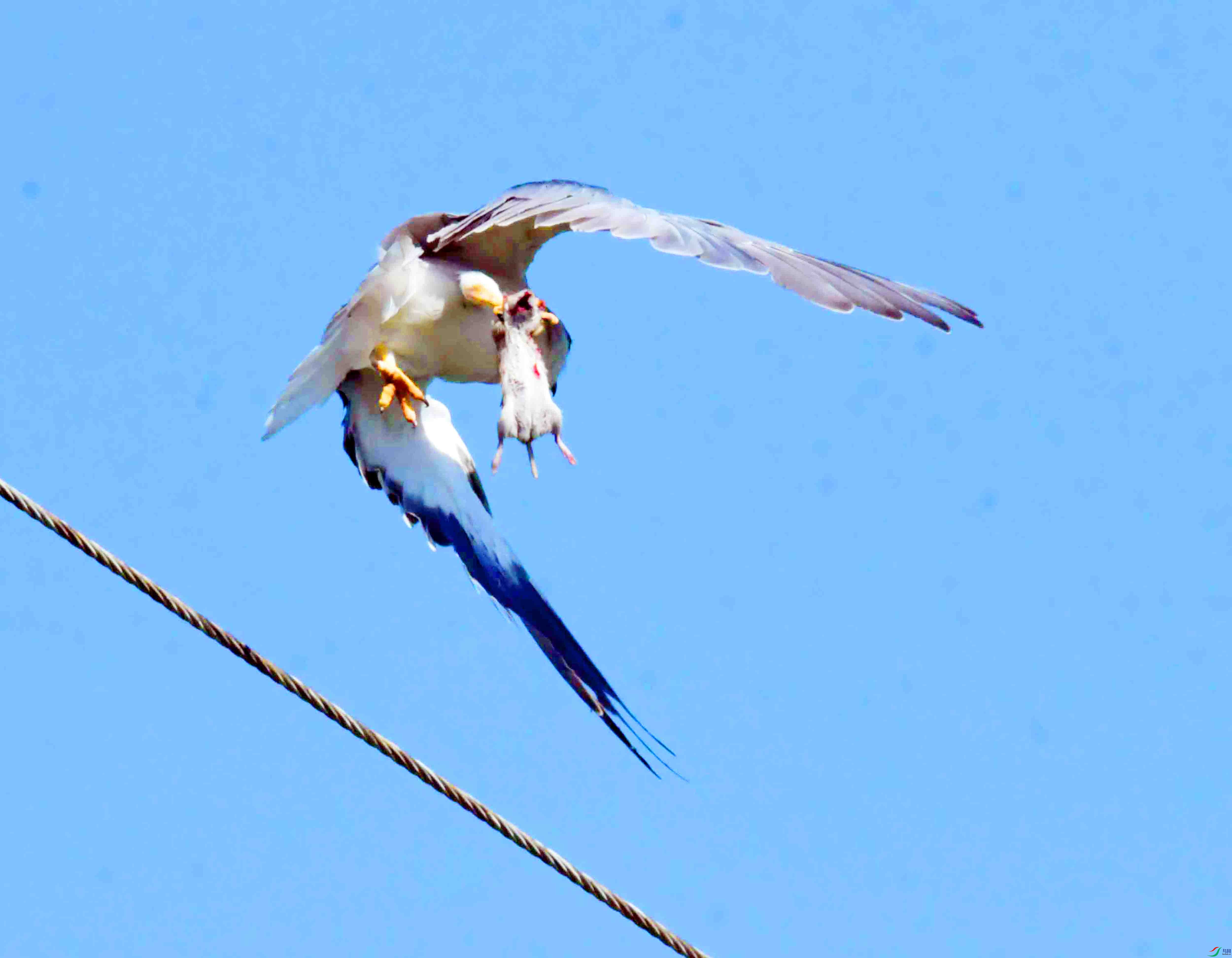DSC_5938.JPG