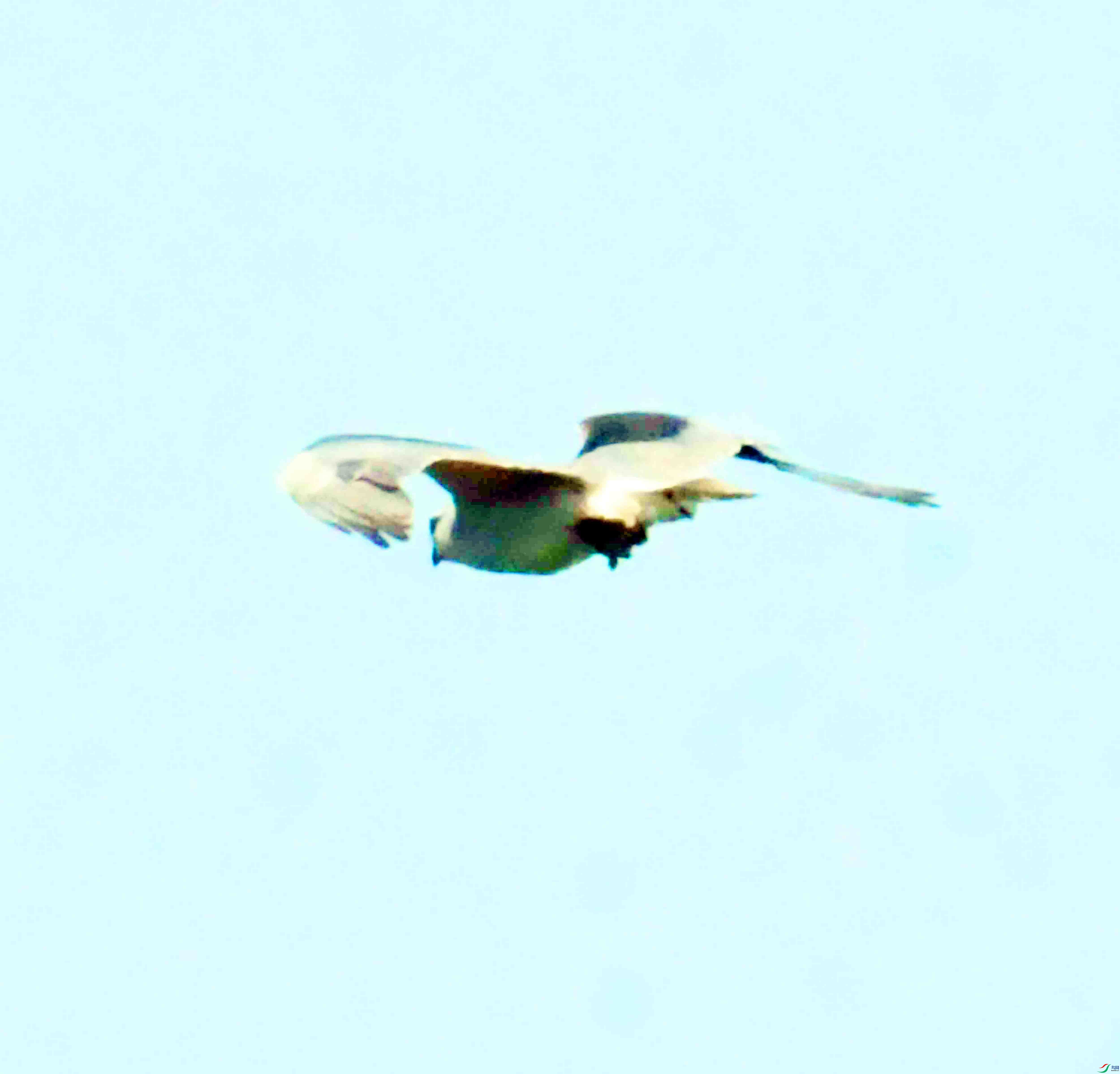 DSC_5945.JPG