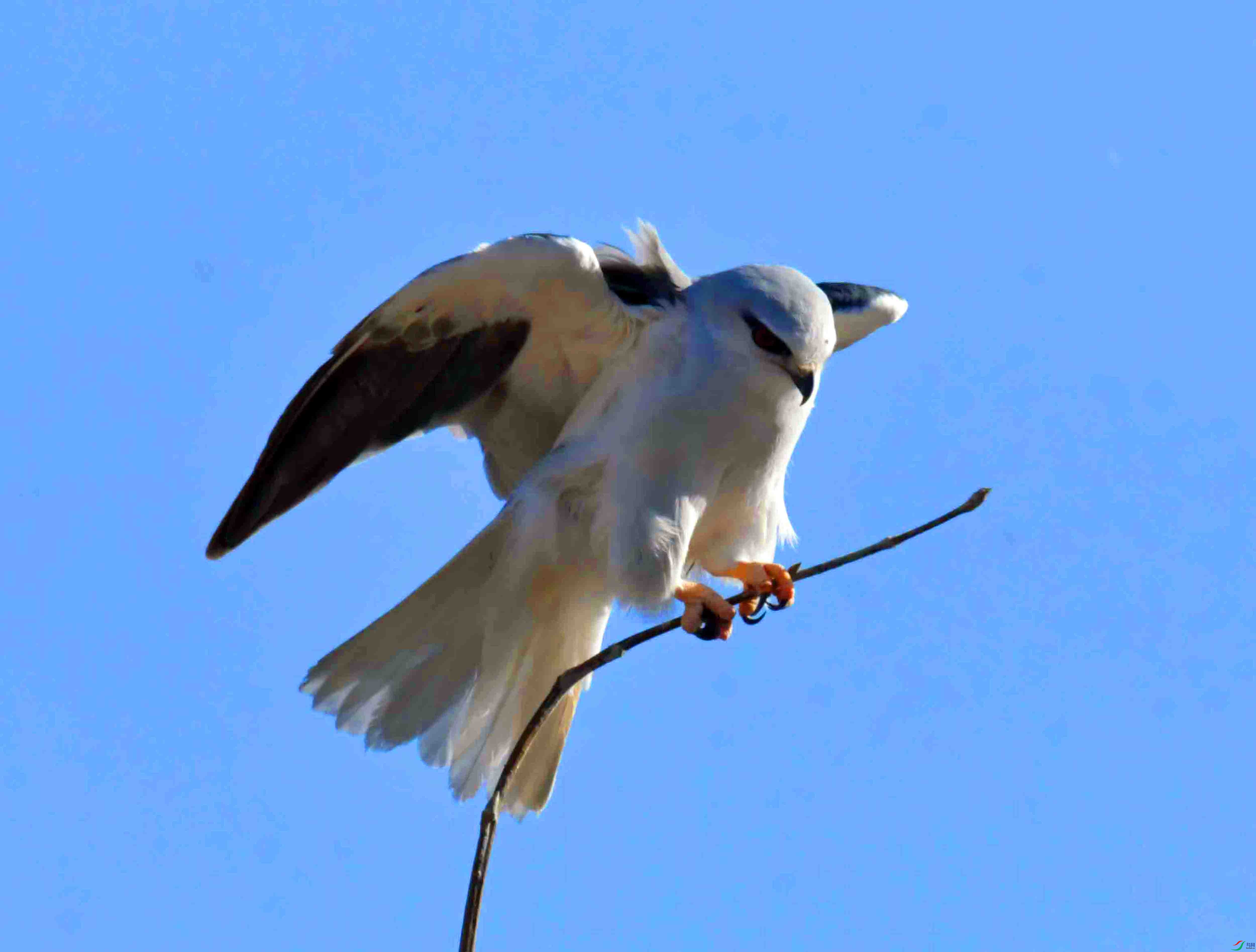 DSC_7580.JPG