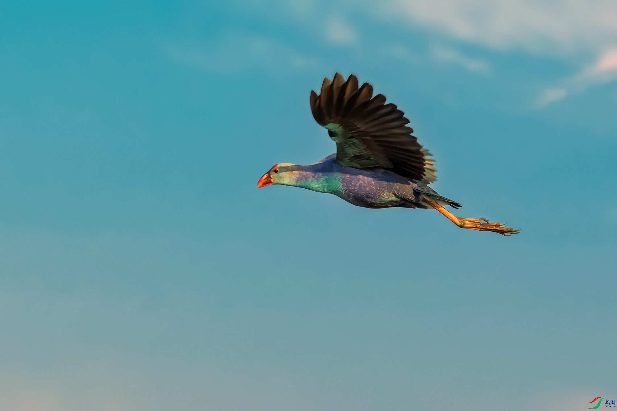 ��ˮ��----��������������־