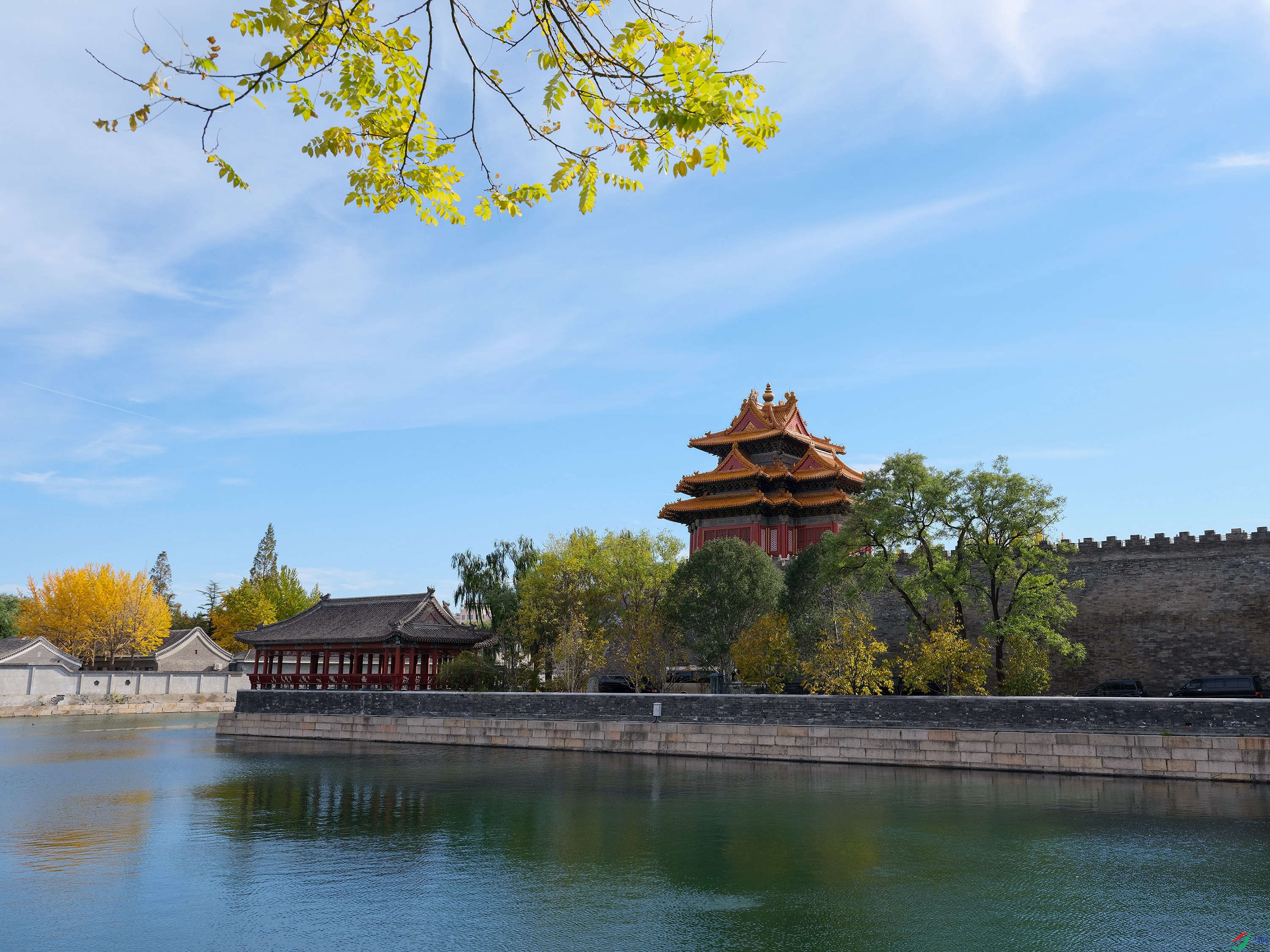 DSCF0232 ����.jpg