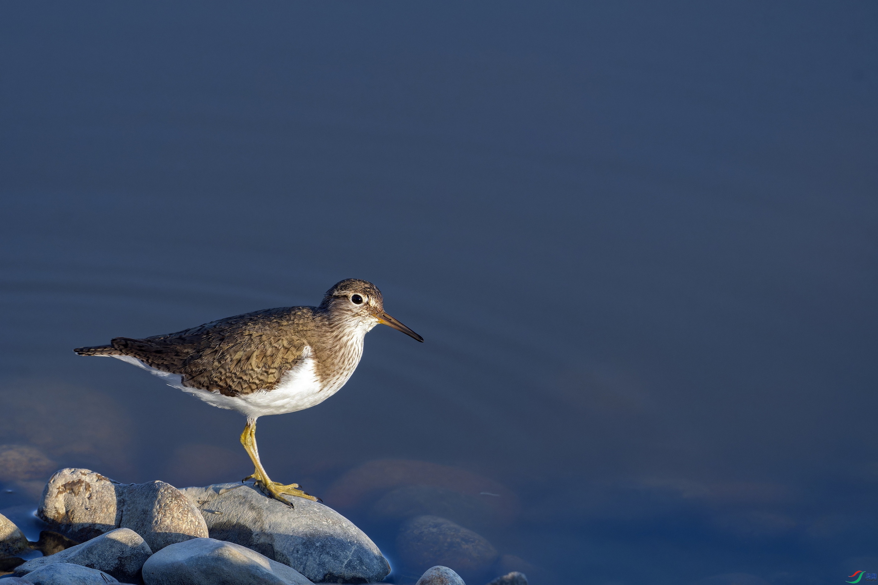 ���� (1)-1.jpg