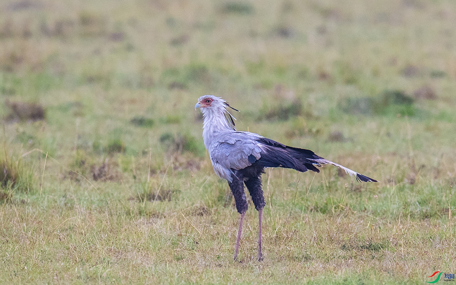 DSC_7058.jpg