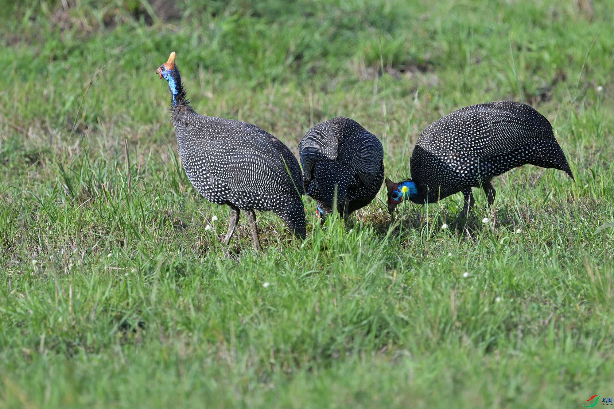 DSC_2318_.jpg